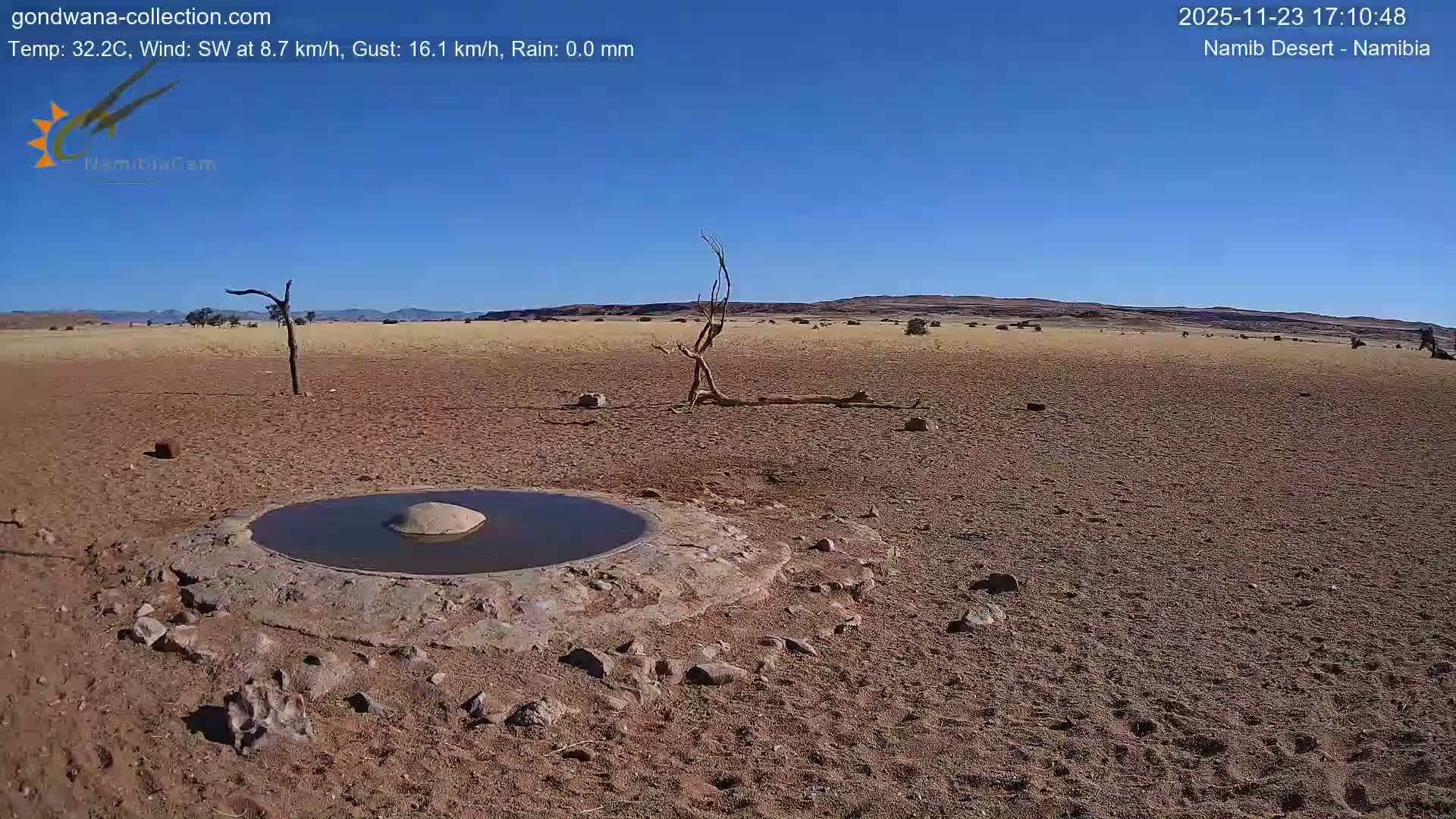 Wild Life in Namib Desert Naukluft National Park Live Cam - Maltahohe, Hardap,  Namibia