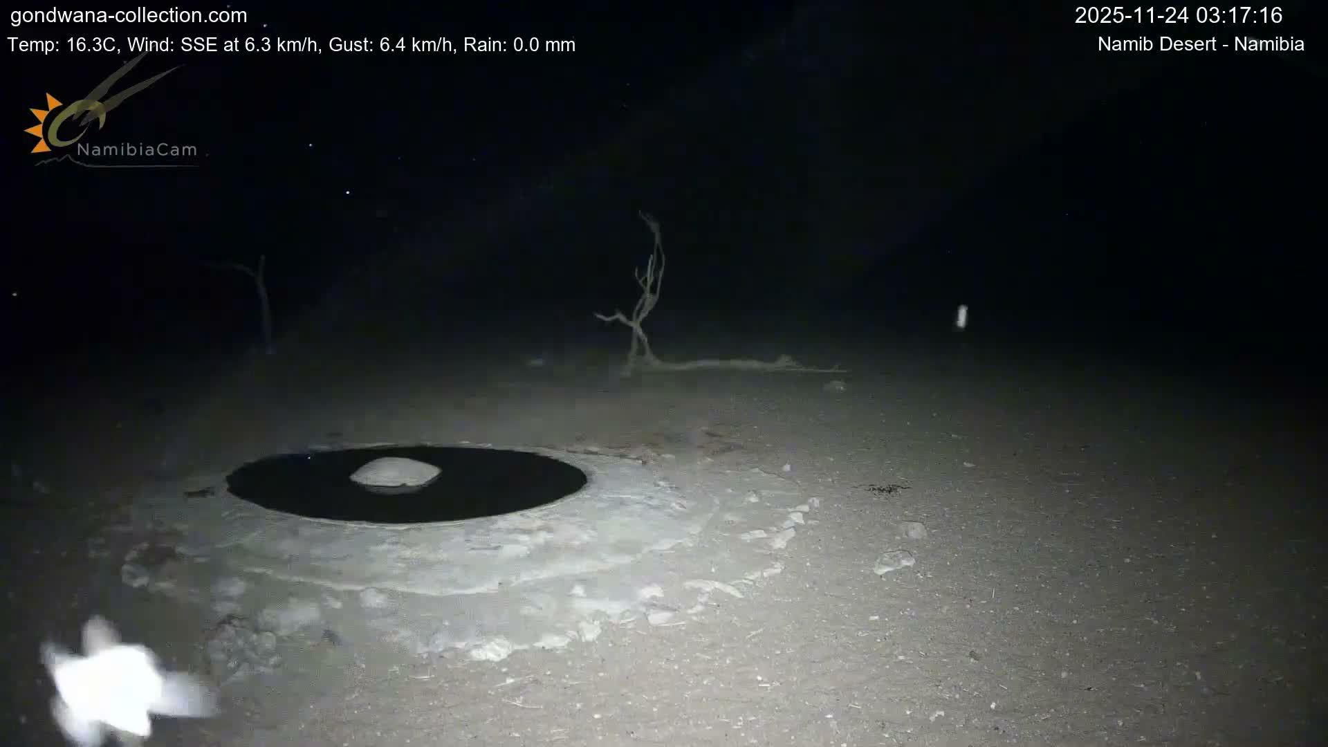 Wild Life in Namib Desert Naukluft National Park Live Cam - Maltahohe, Hardap,  Namibia