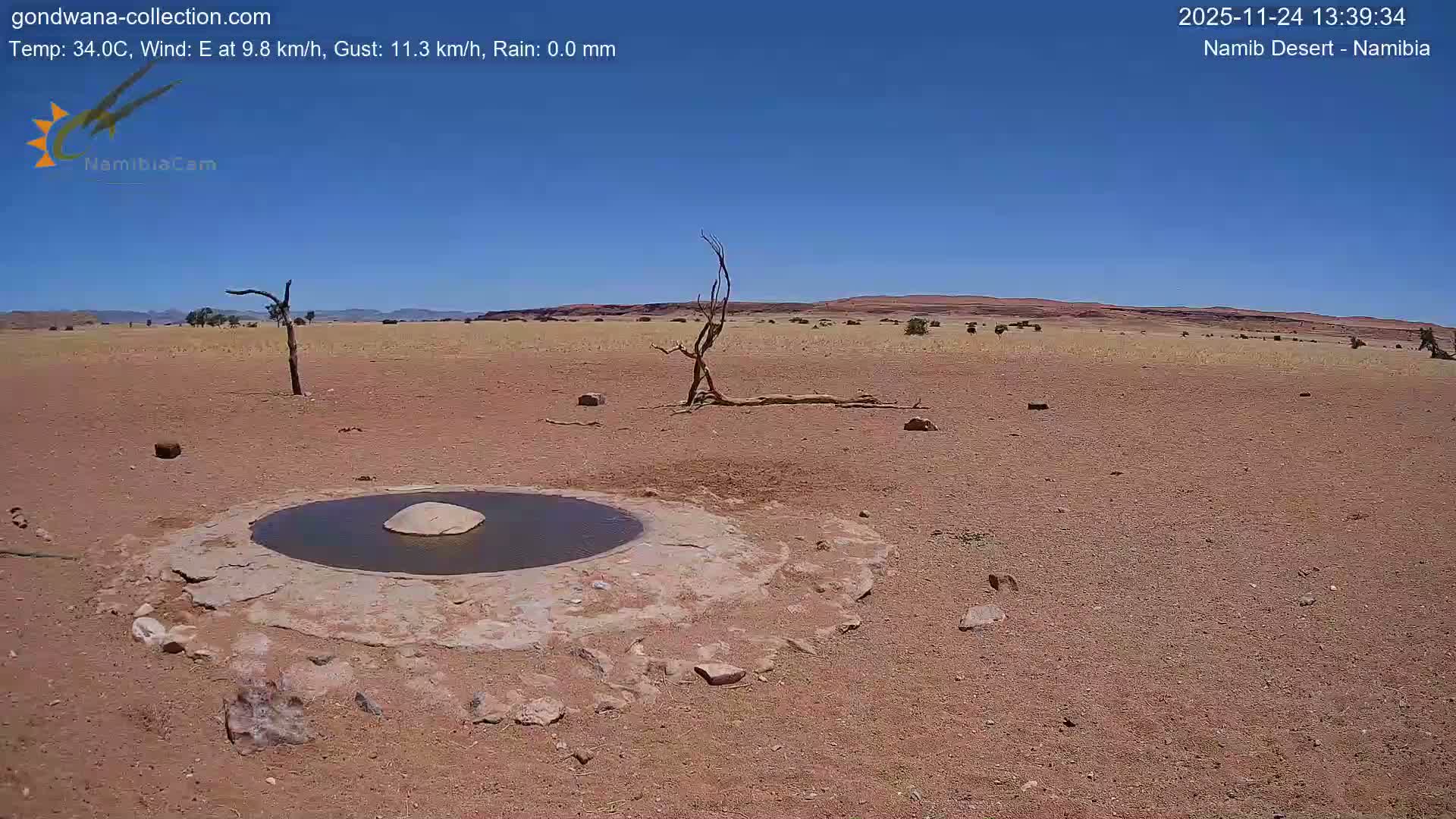 Wild Life in Namib Desert Naukluft National Park Live Cam - Maltahohe, Hardap,  Namibia