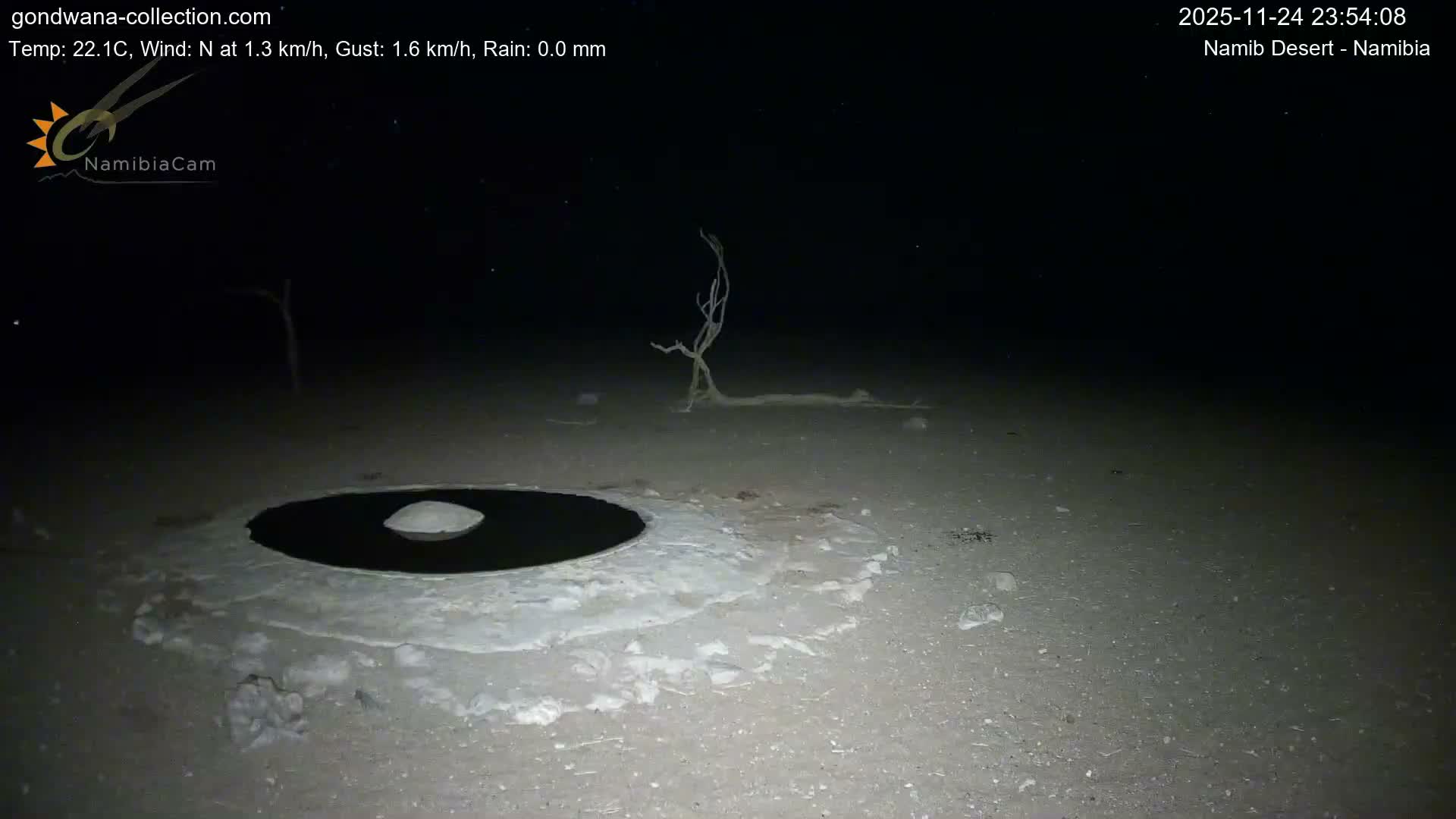 Wild Life in Namib Desert Naukluft National Park Live Cam - Maltahohe, Hardap,  Namibia