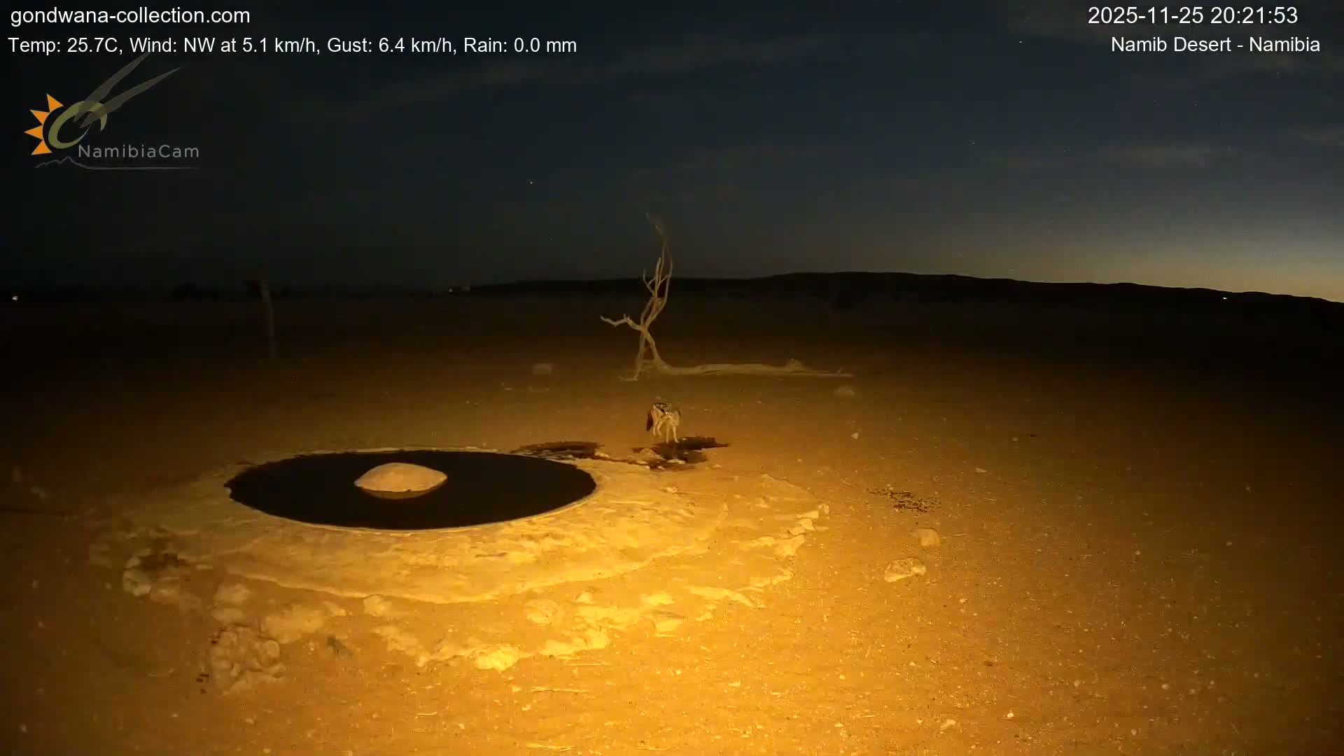 Wild Life in Namib Desert Naukluft National Park Live Cam - Maltahohe, Hardap,  Namibia