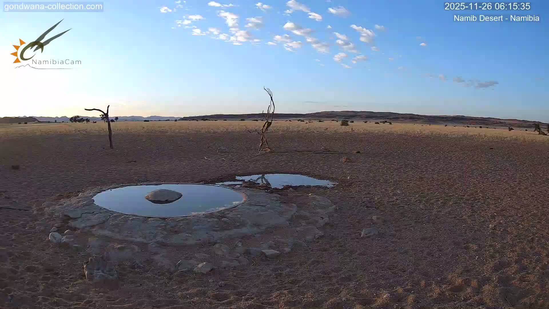 Wild Life in Namib Desert Naukluft National Park Live Cam - Maltahohe, Hardap,  Namibia