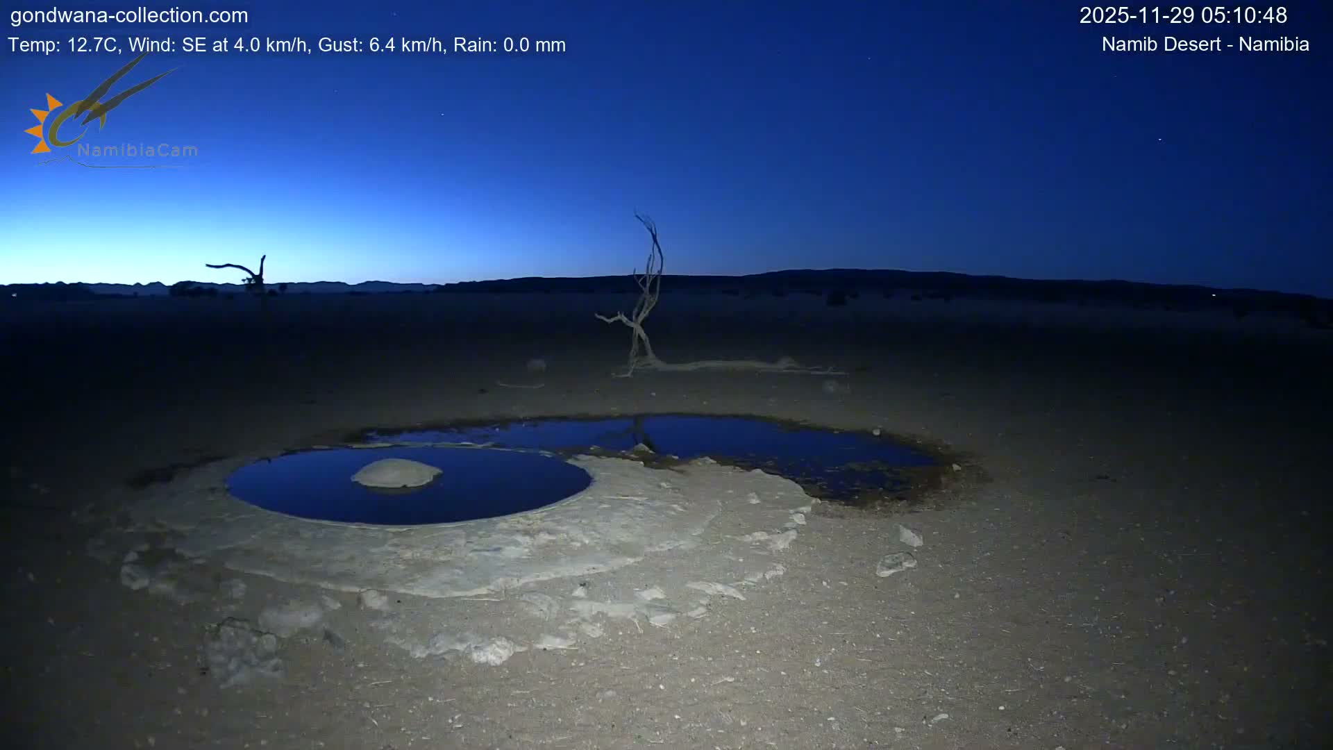 Wild Life in Namib Desert Naukluft National Park Live Cam - Maltahohe, Hardap,  Namibia