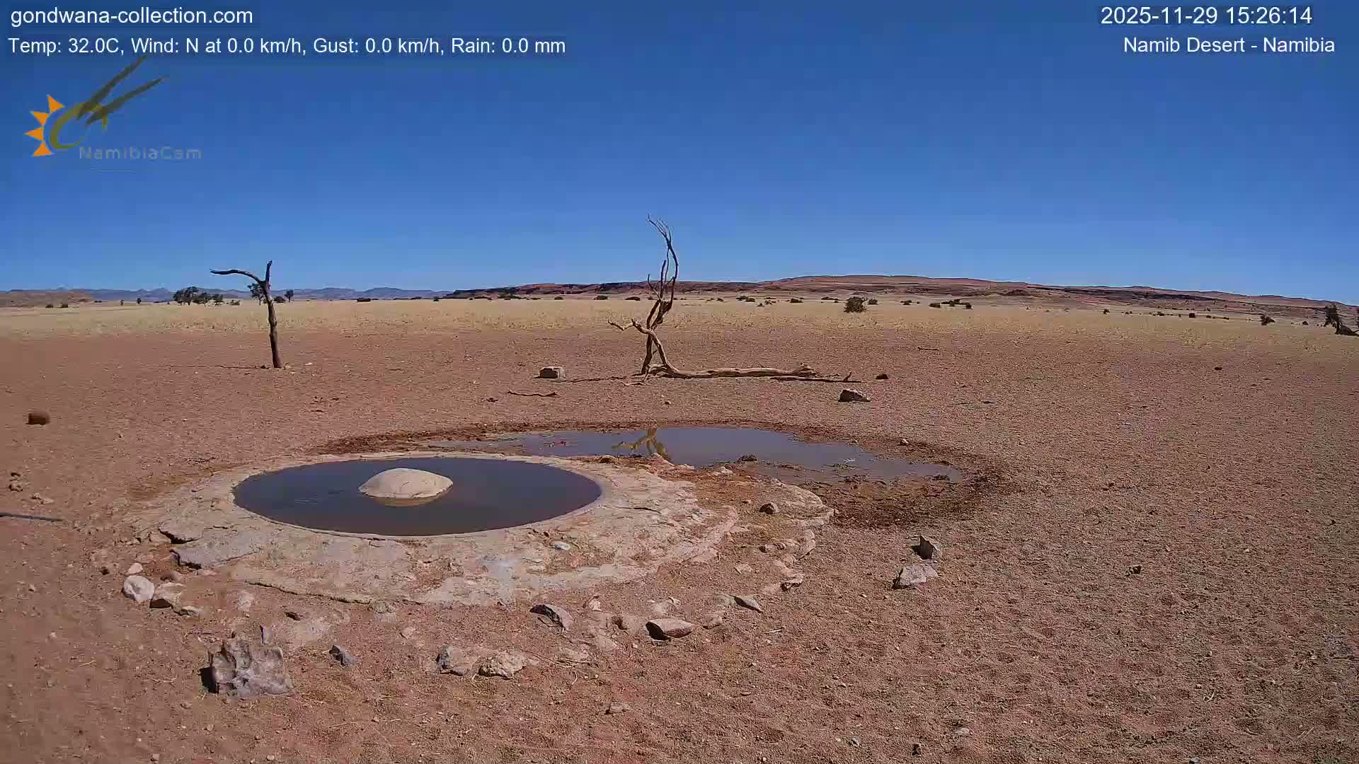 Wild Life in Namib Desert Naukluft National Park Live Cam - Maltahohe, Hardap,  Namibia