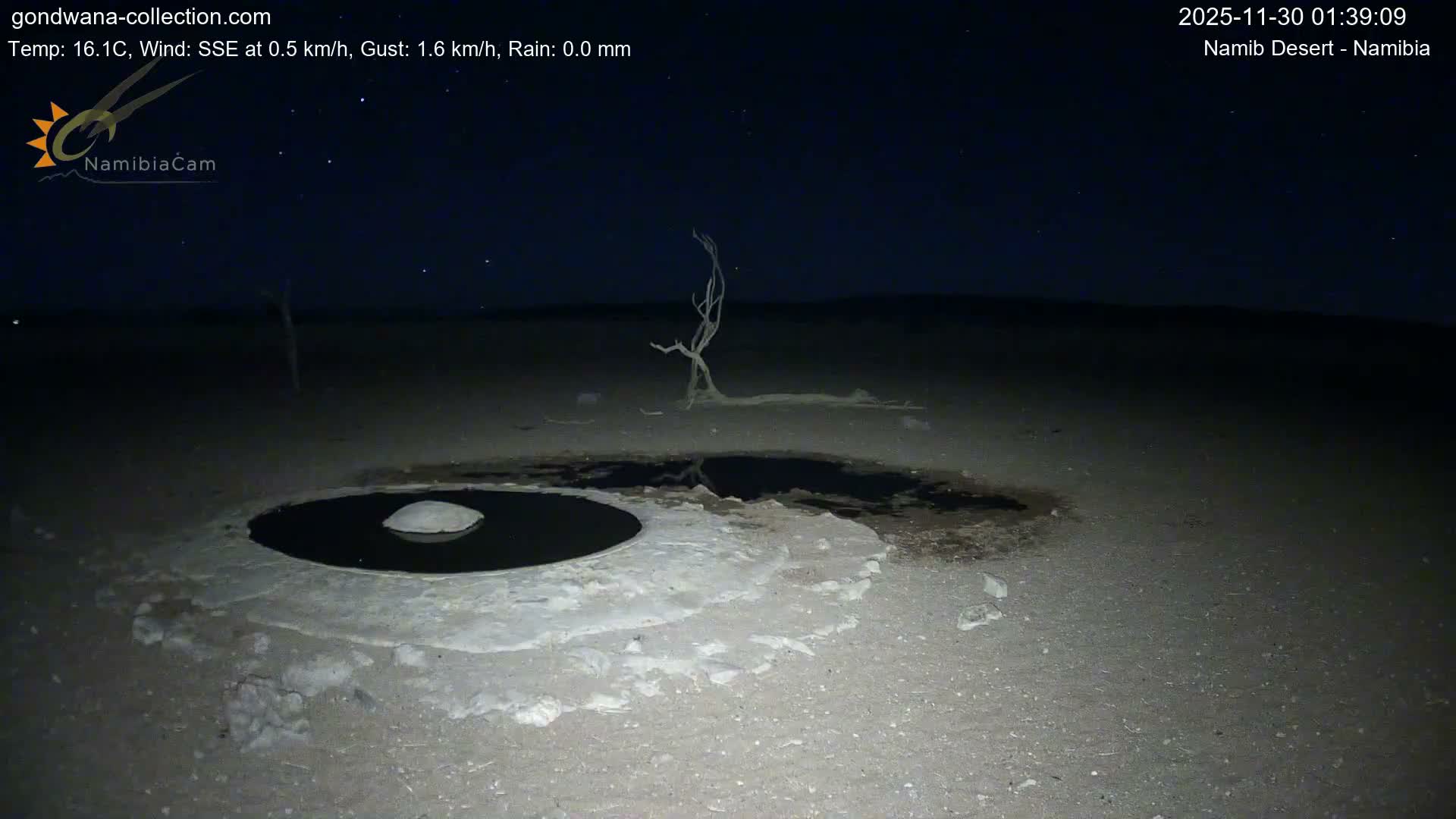 Wild Life in Namib Desert Naukluft National Park Live Cam - Maltahohe, Hardap,  Namibia