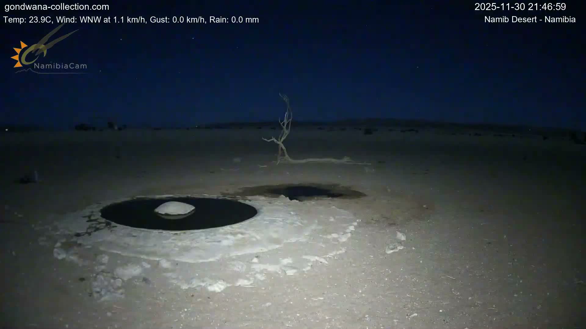 Wild Life in Namib Desert Naukluft National Park Live Cam - Maltahohe, Hardap,  Namibia
