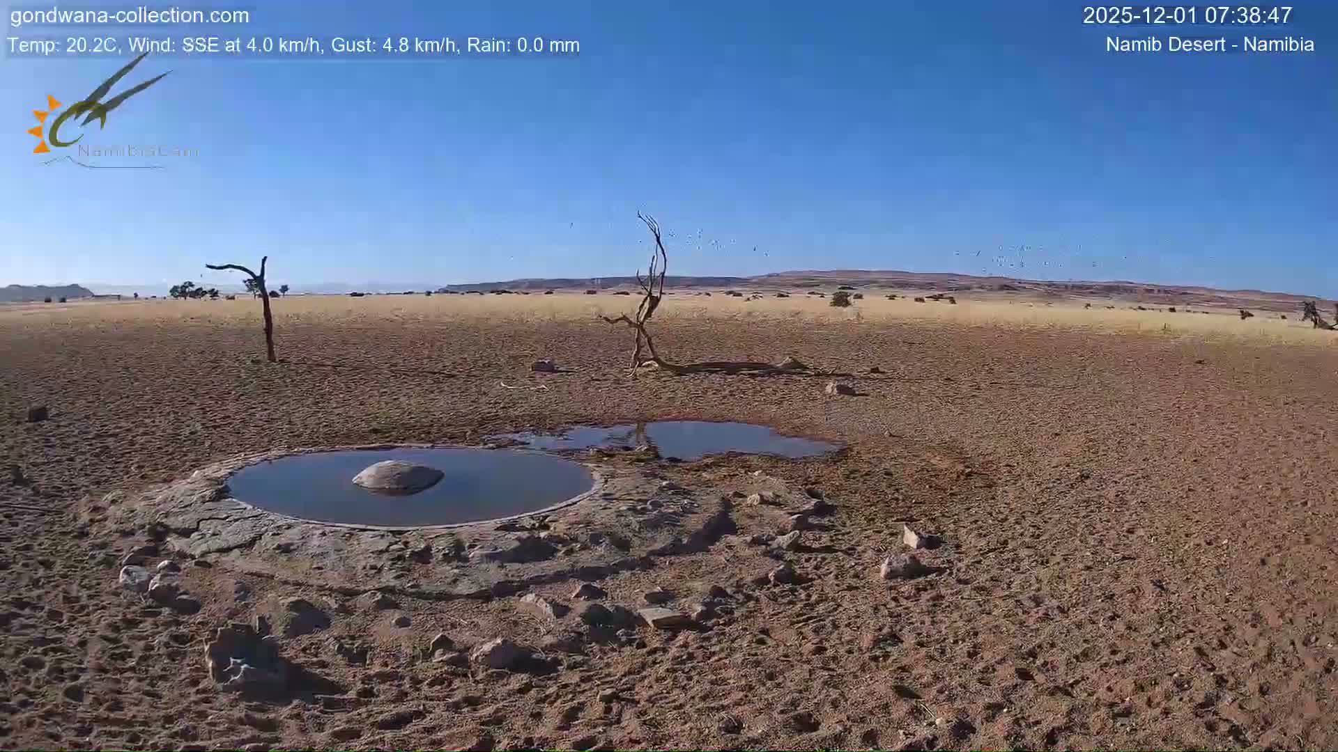 Wild Life in Namib Desert Naukluft National Park Live Cam - Maltahohe, Hardap,  Namibia