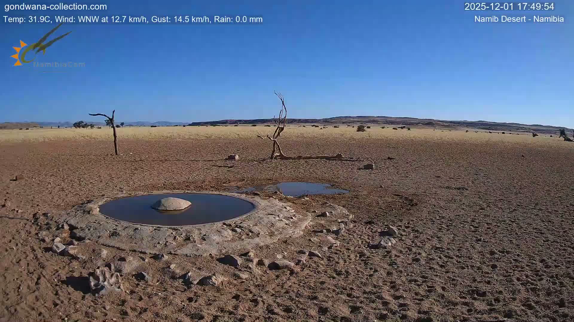 Wild Life in Namib Desert Naukluft National Park Live Cam - Maltahohe, Hardap,  Namibia