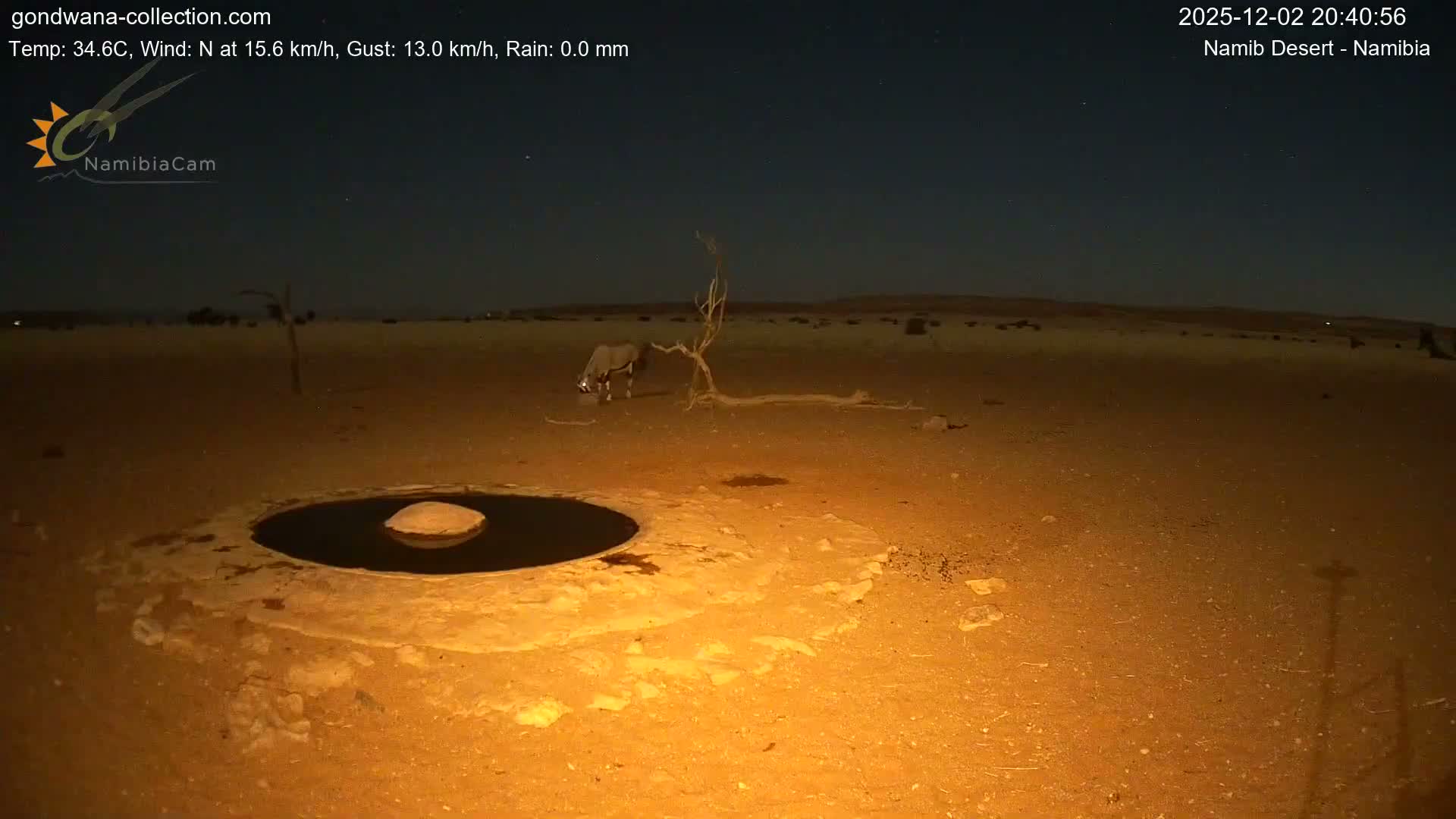 Wild Life in Namib Desert Naukluft National Park Live Cam - Maltahohe, Hardap,  Namibia