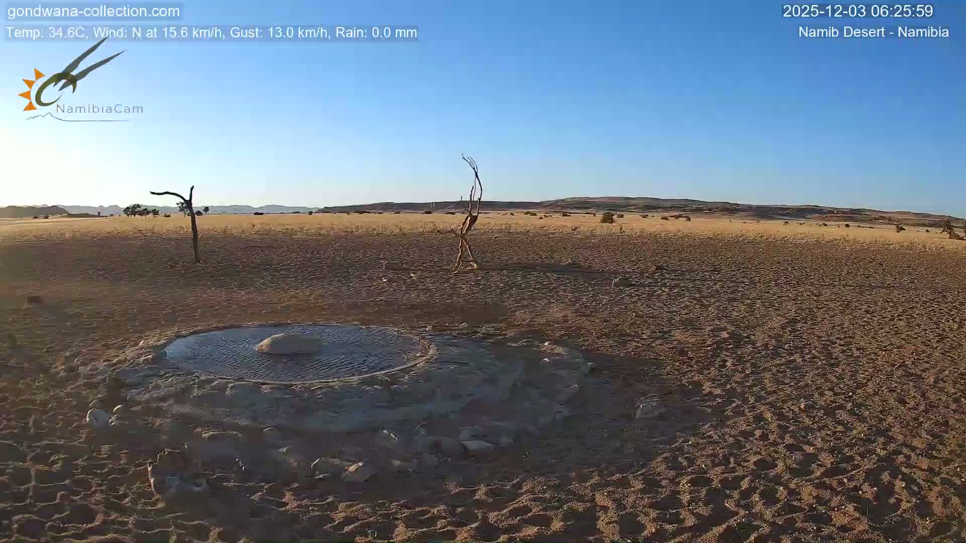 Wild Life in Namib Desert Naukluft National Park Live Cam - Maltahohe, Hardap,  Namibia