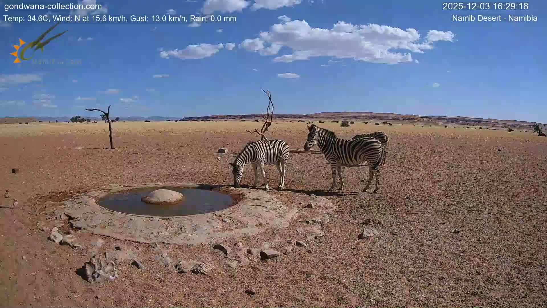 Wild Life in Namib Desert Naukluft National Park Live Cam - Maltahohe, Hardap,  Namibia