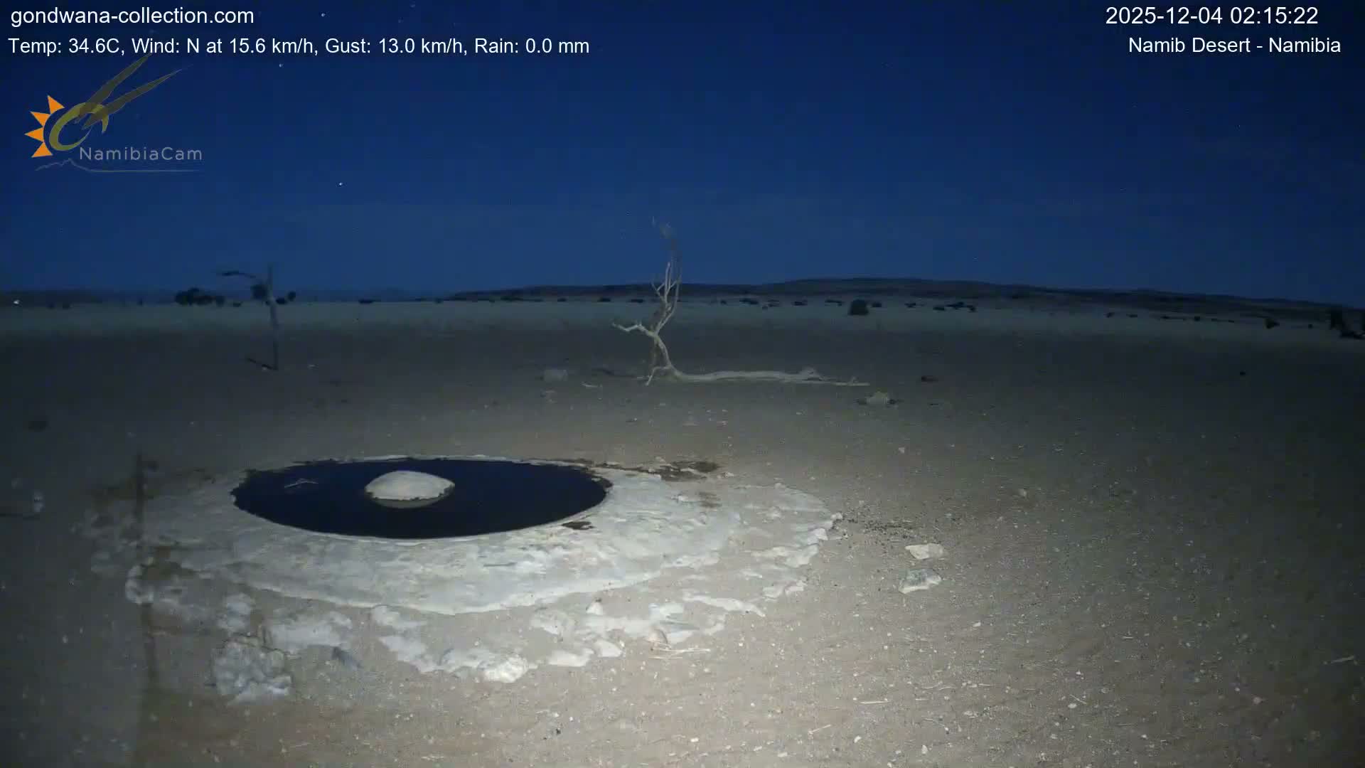 Wild Life in Namib Desert Naukluft National Park Live Cam - Maltahohe, Hardap,  Namibia