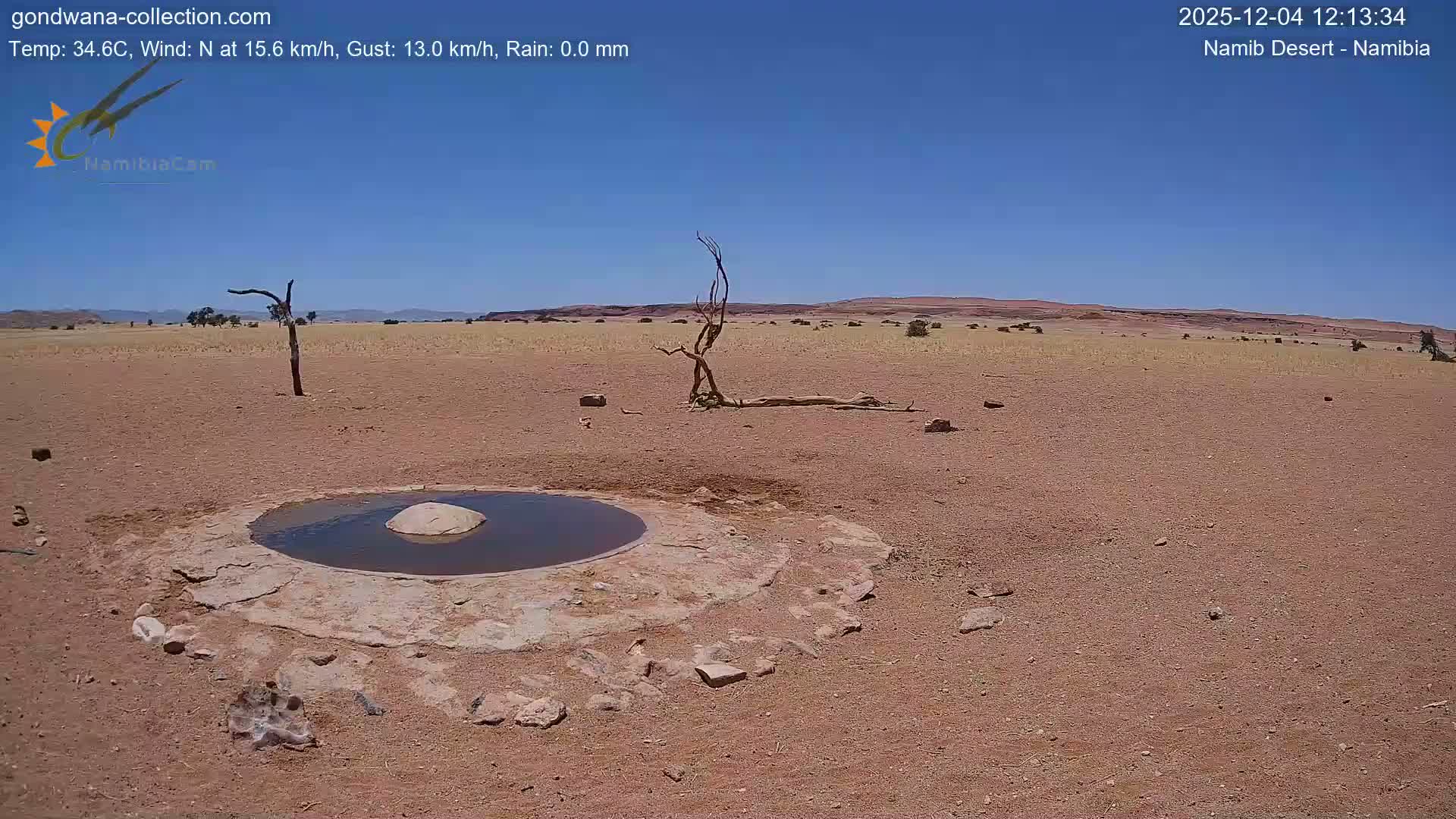 A circular waterhole with a rock in its center sits in a vast, arid landscape of reddish-brown earth and sparse, dry vegetation, featuring several gnarled dead trees under a clear, sunny blue sky.
