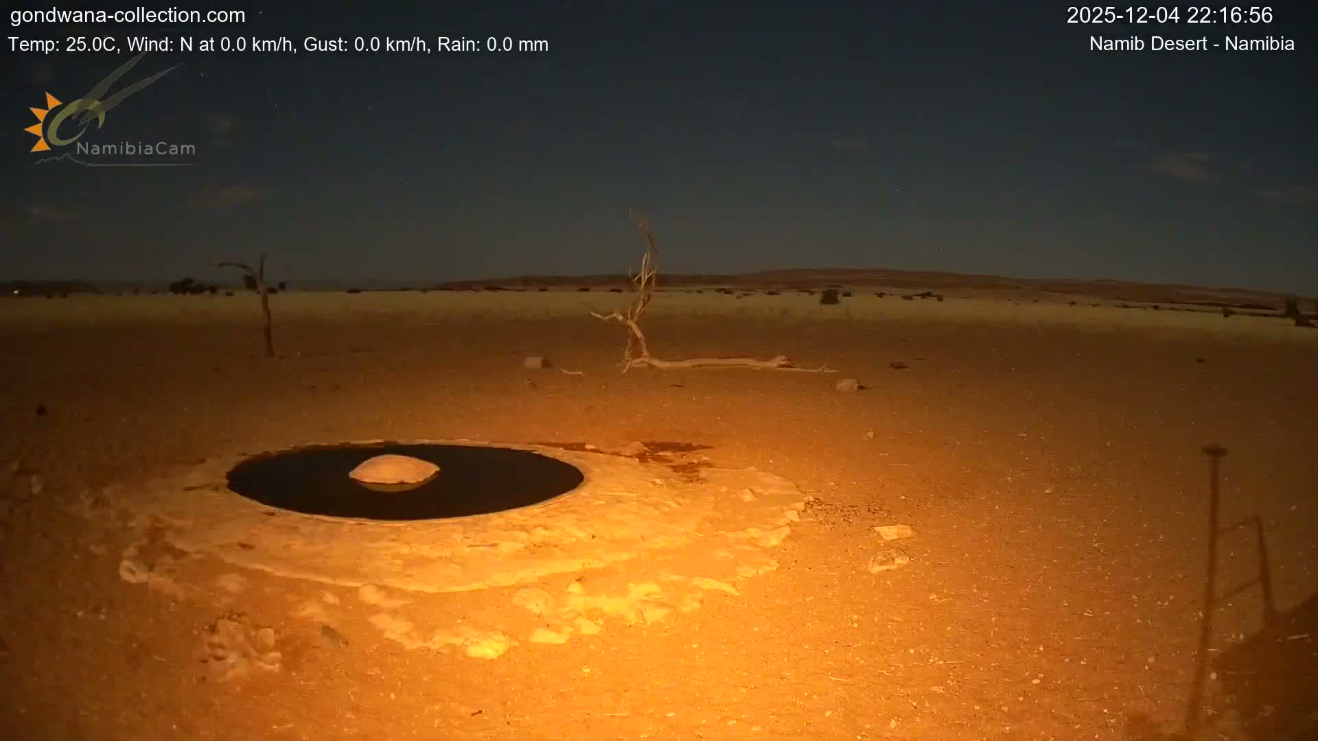 Wild Life in Namib Desert Naukluft National Park Live Cam - Maltahohe, Hardap,  Namibia