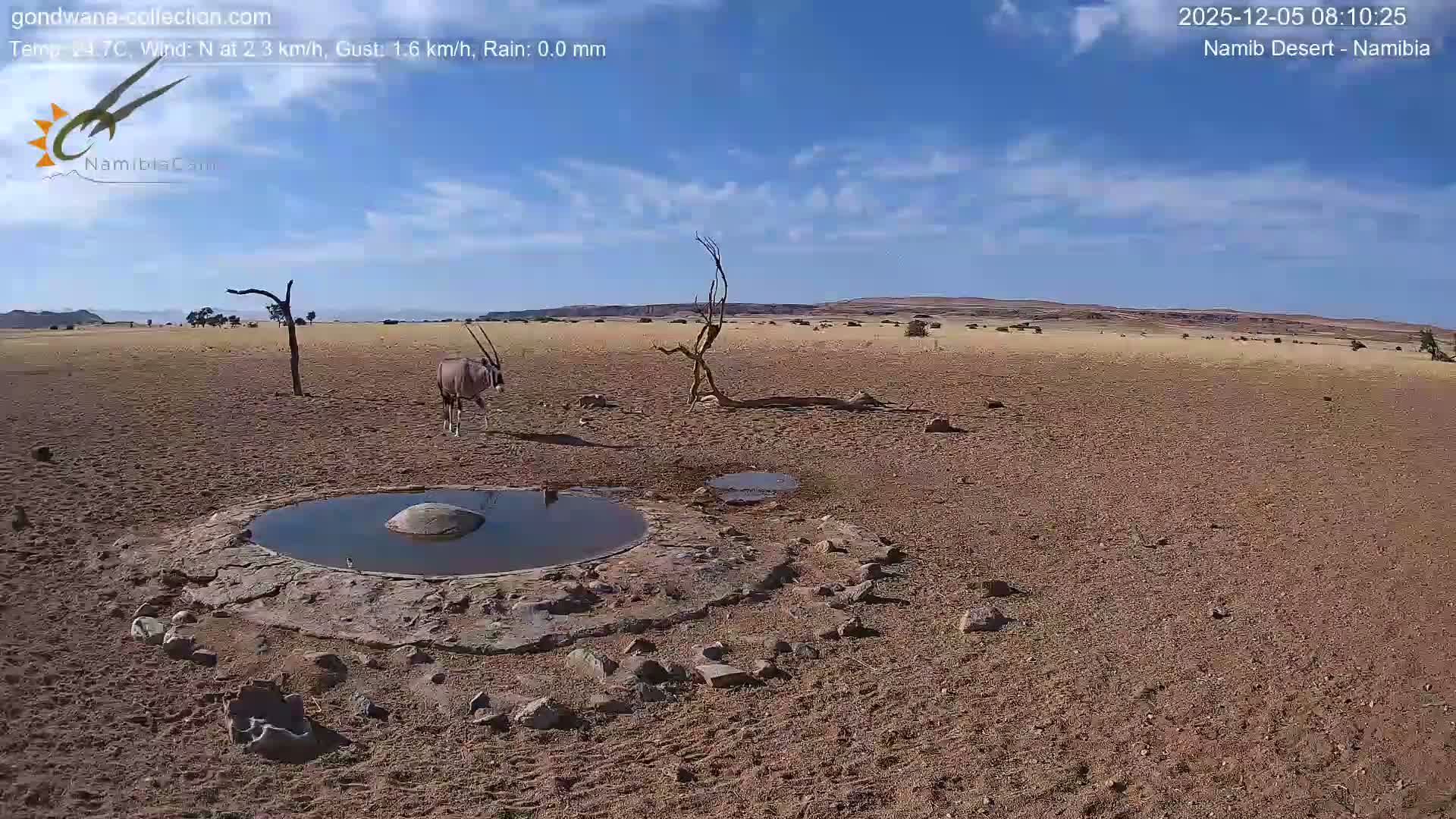 Wild Life in Namib Desert Naukluft National Park Live Cam - Maltahohe, Hardap,  Namibia