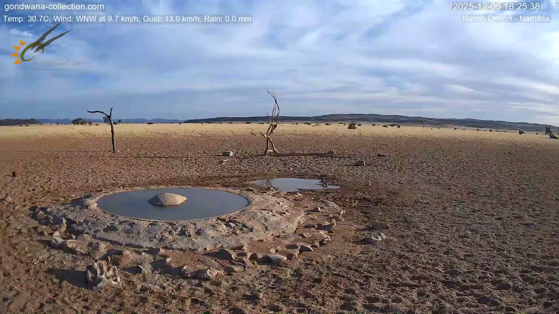 Wild Life in Namib Desert Naukluft National Park Live Cam - Maltahohe, Hardap,  Namibia