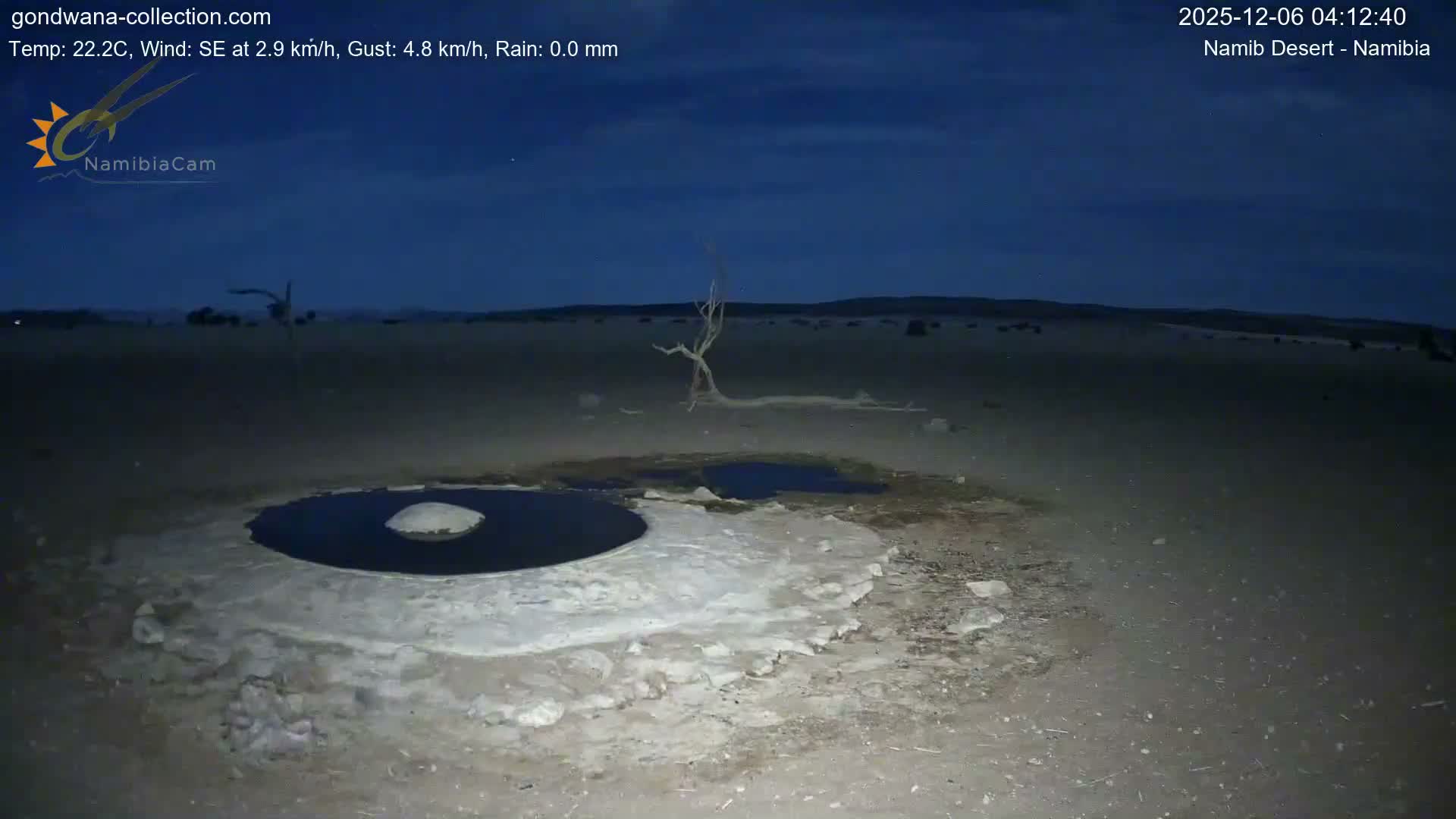 Wild Life in Namib Desert Naukluft National Park Live Cam - Maltahohe, Hardap,  Namibia