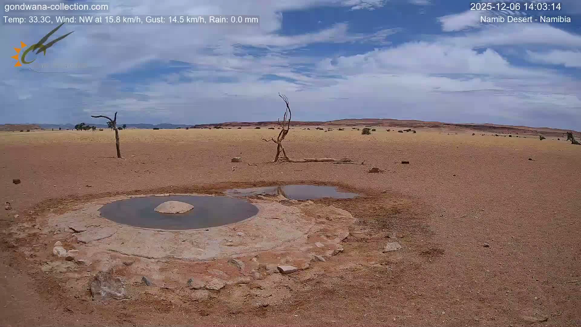 Wild Life in Namib Desert Naukluft National Park Live Cam - Maltahohe, Hardap,  Namibia