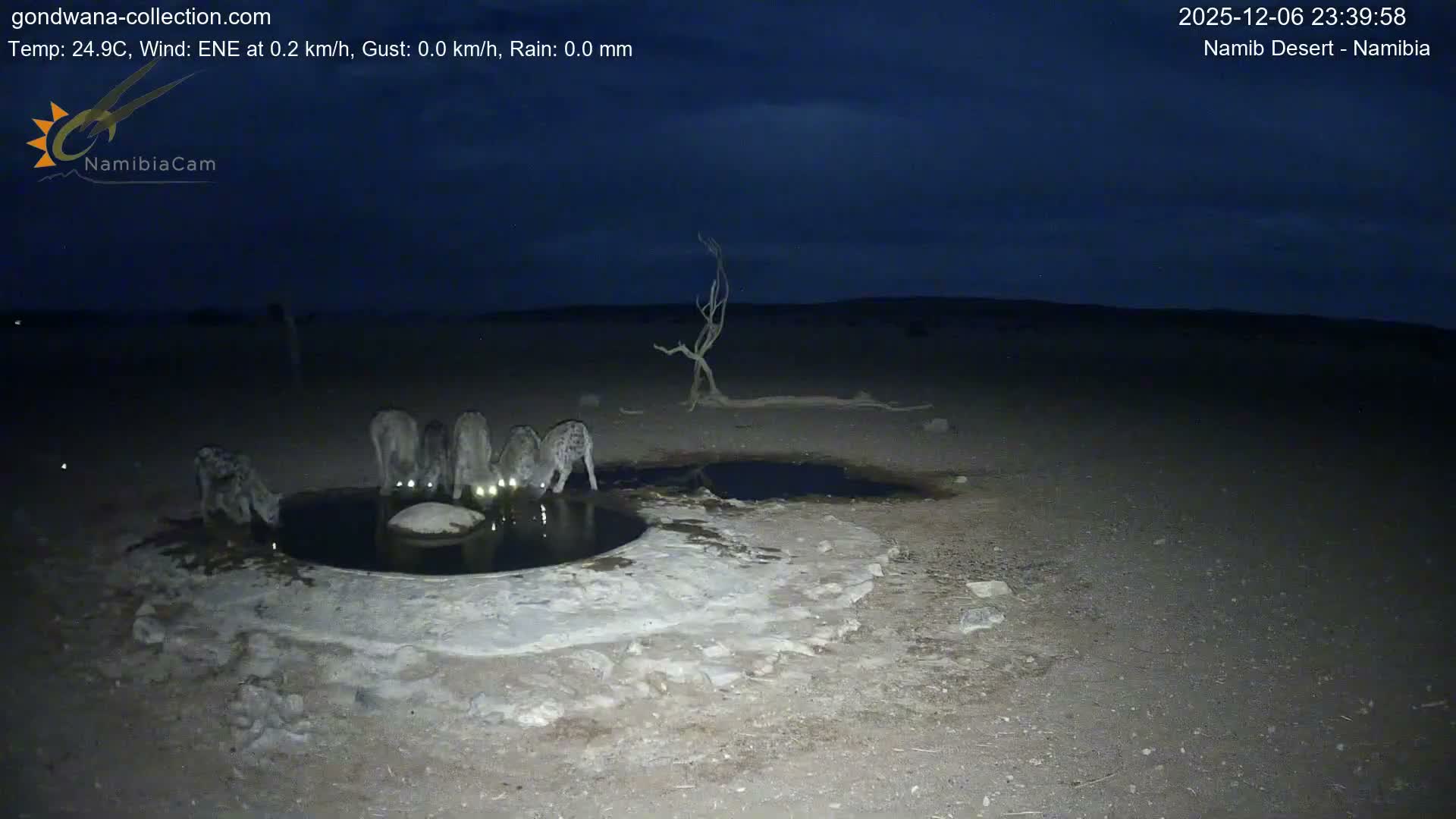 Wild Life in Namib Desert Naukluft National Park Live Cam - Maltahohe, Hardap,  Namibia