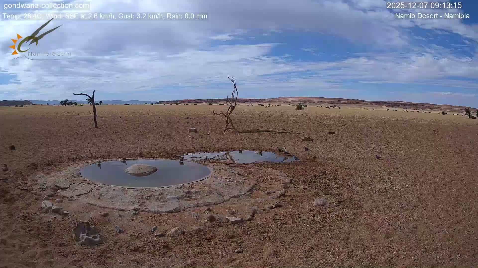 Wild Life in Namib Desert Naukluft National Park Live Cam - Maltahohe, Hardap,  Namibia