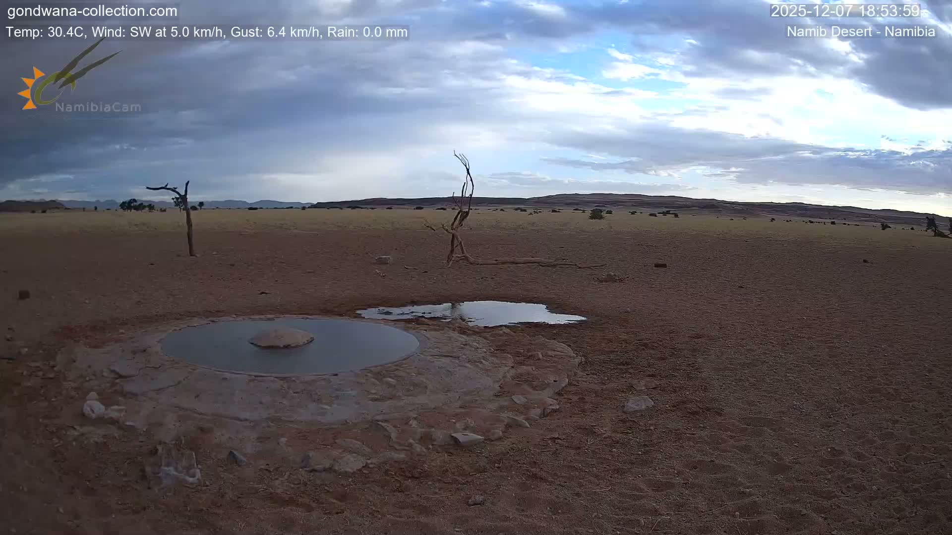 Wild Life in Namib Desert Naukluft National Park Live Cam - Maltahohe, Hardap,  Namibia