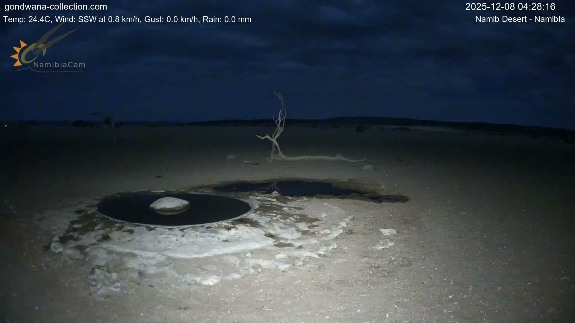 Wild Life in Namib Desert Naukluft National Park Live Cam - Maltahohe, Hardap,  Namibia