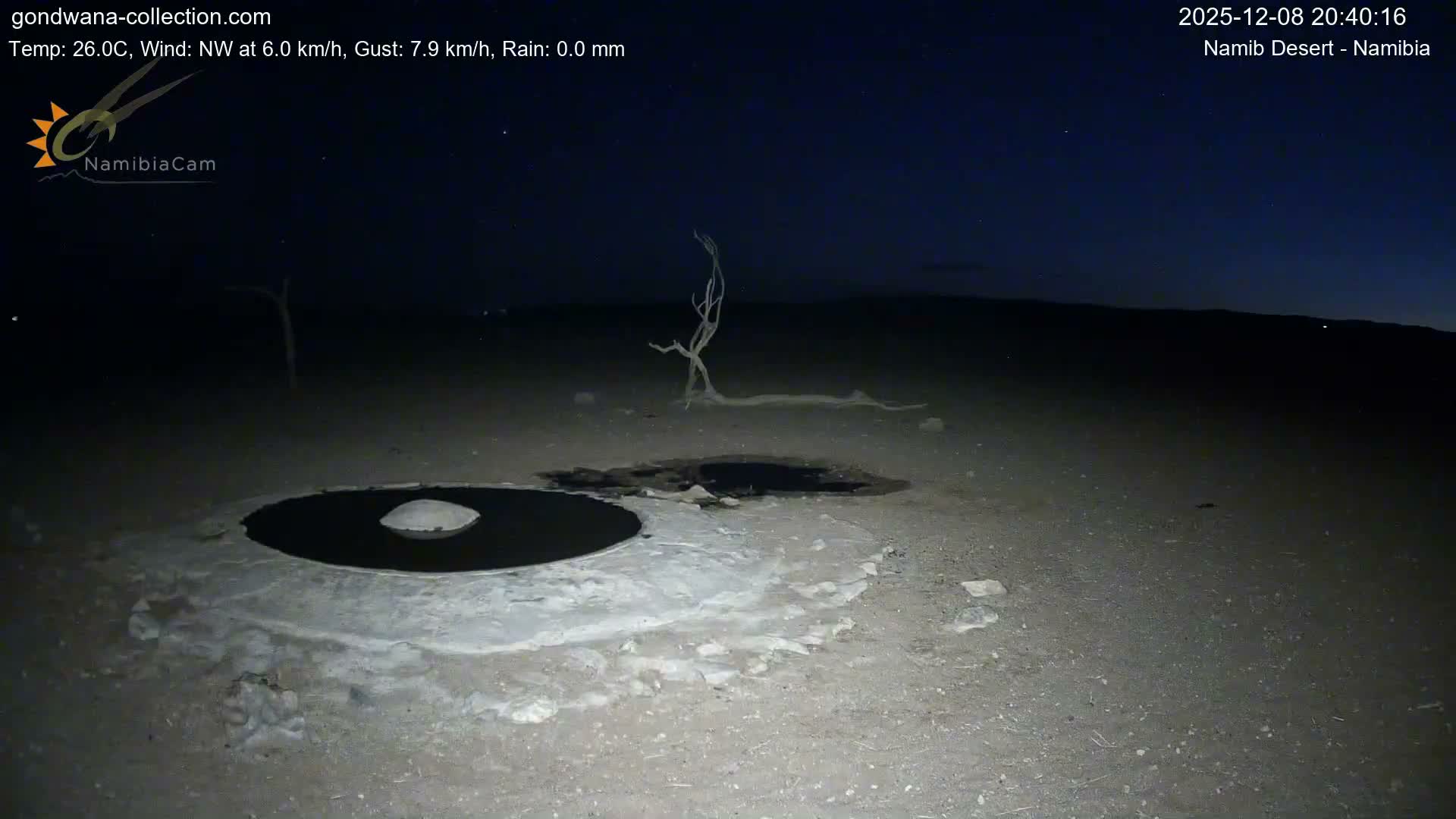 Wild Life in Namib Desert Naukluft National Park Live Cam - Maltahohe, Hardap,  Namibia