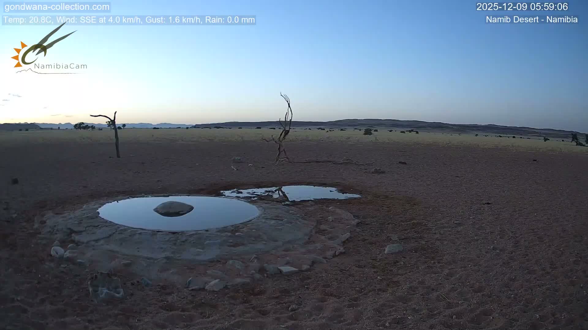 Wild Life in Namib Desert Naukluft National Park Live Cam - Maltahohe, Hardap,  Namibia