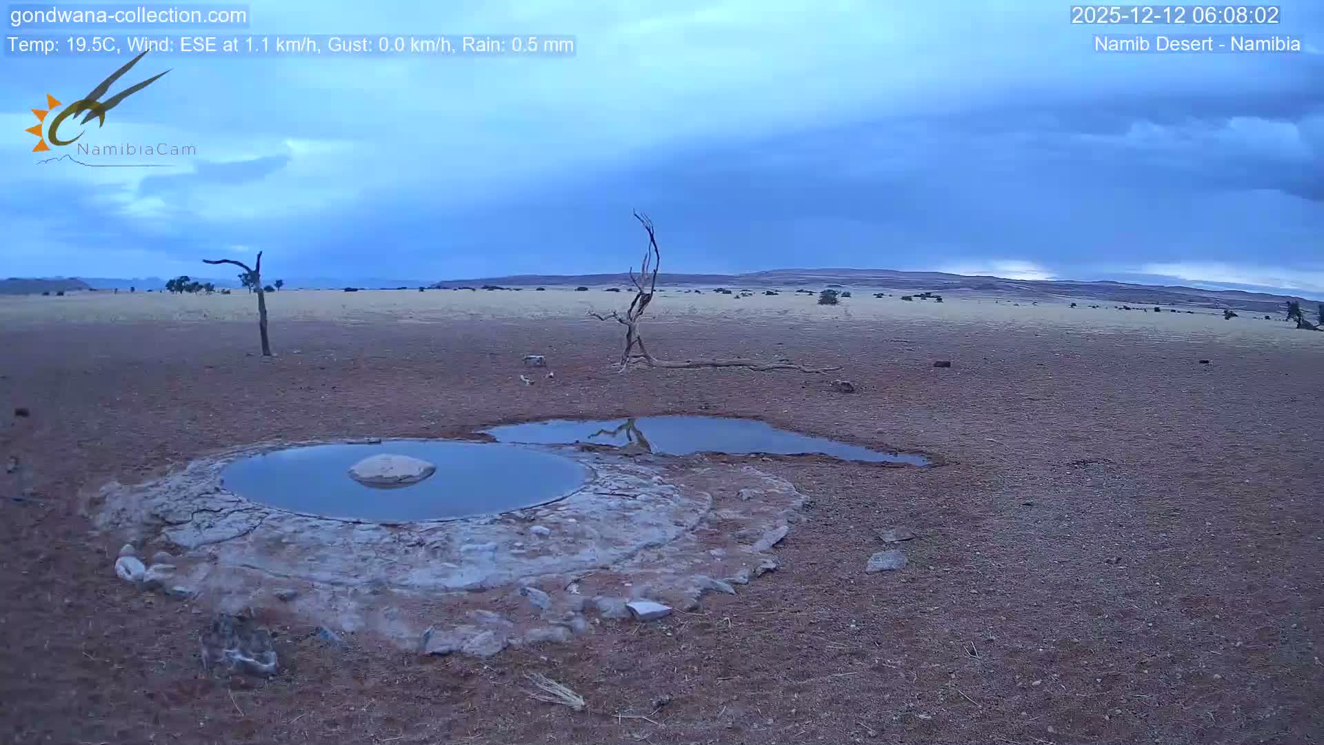 Wild Life in Namib Desert Naukluft National Park Live Cam - Maltahohe, Hardap,  Namibia