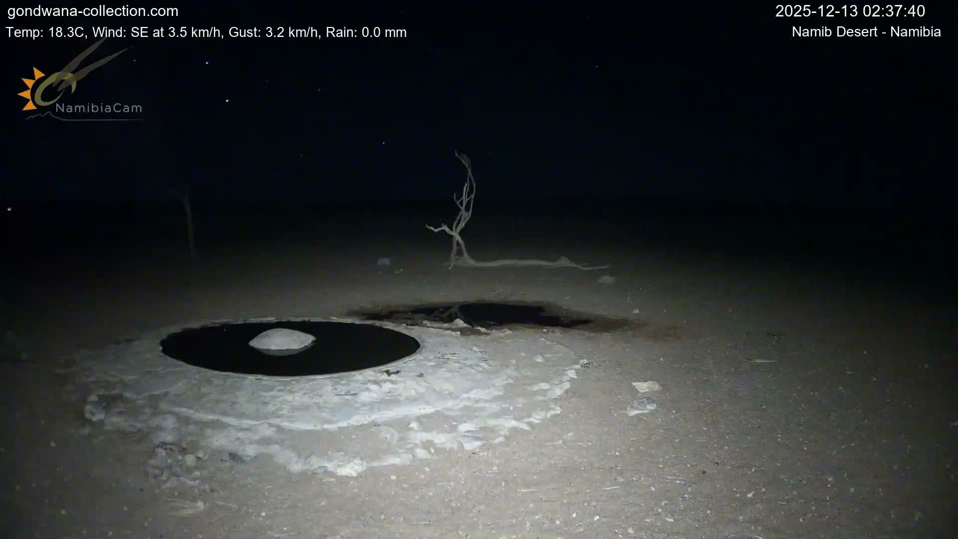 Wild Life in Namib Desert Naukluft National Park Live Cam - Maltahohe, Hardap,  Namibia