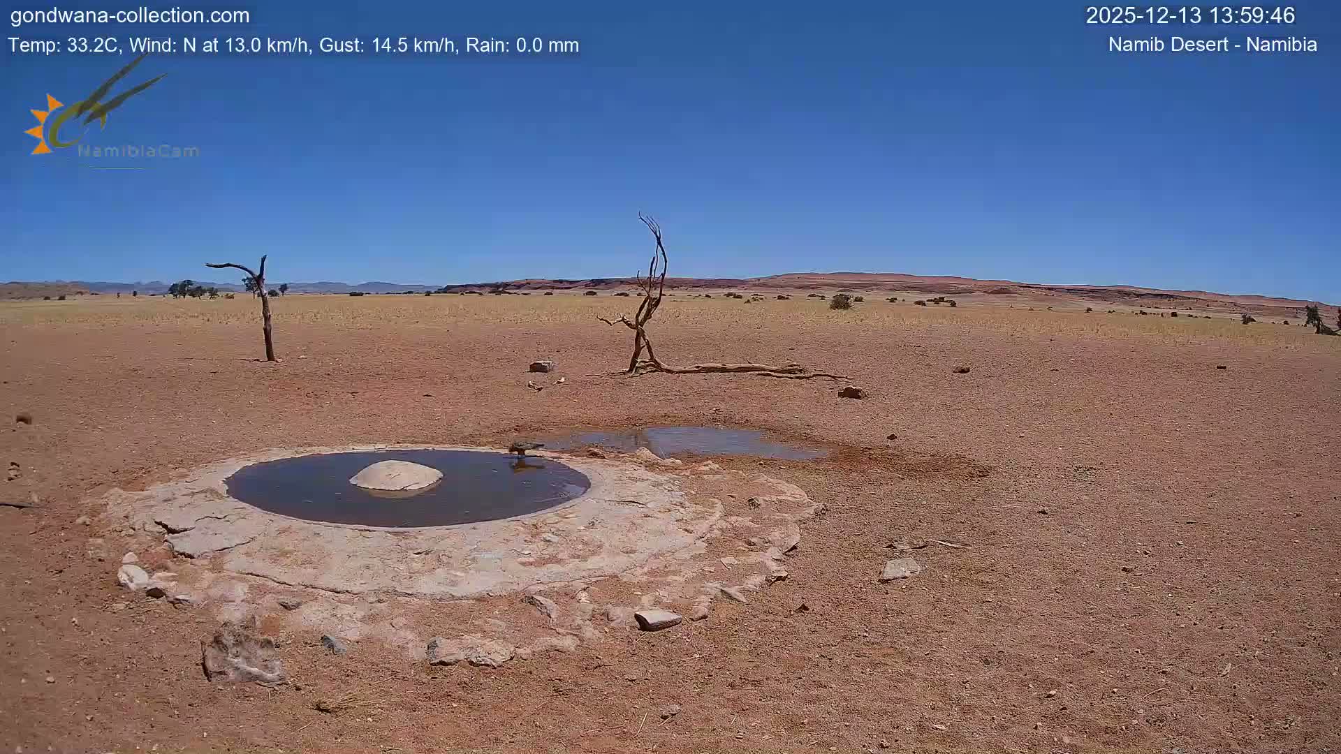 Wild Life in Namib Desert Naukluft National Park Live Cam - Maltahohe, Hardap,  Namibia