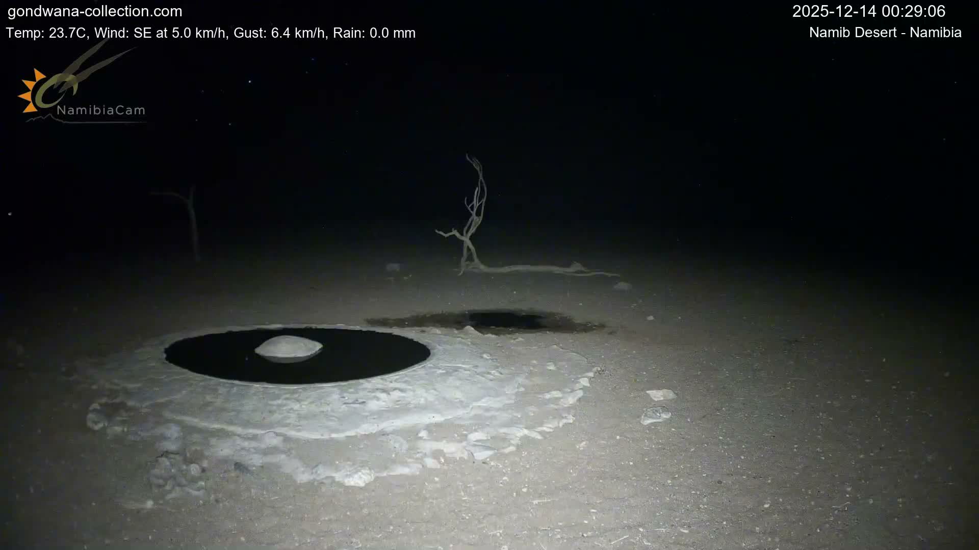 Wild Life in Namib Desert Naukluft National Park Live Cam - Maltahohe, Hardap,  Namibia