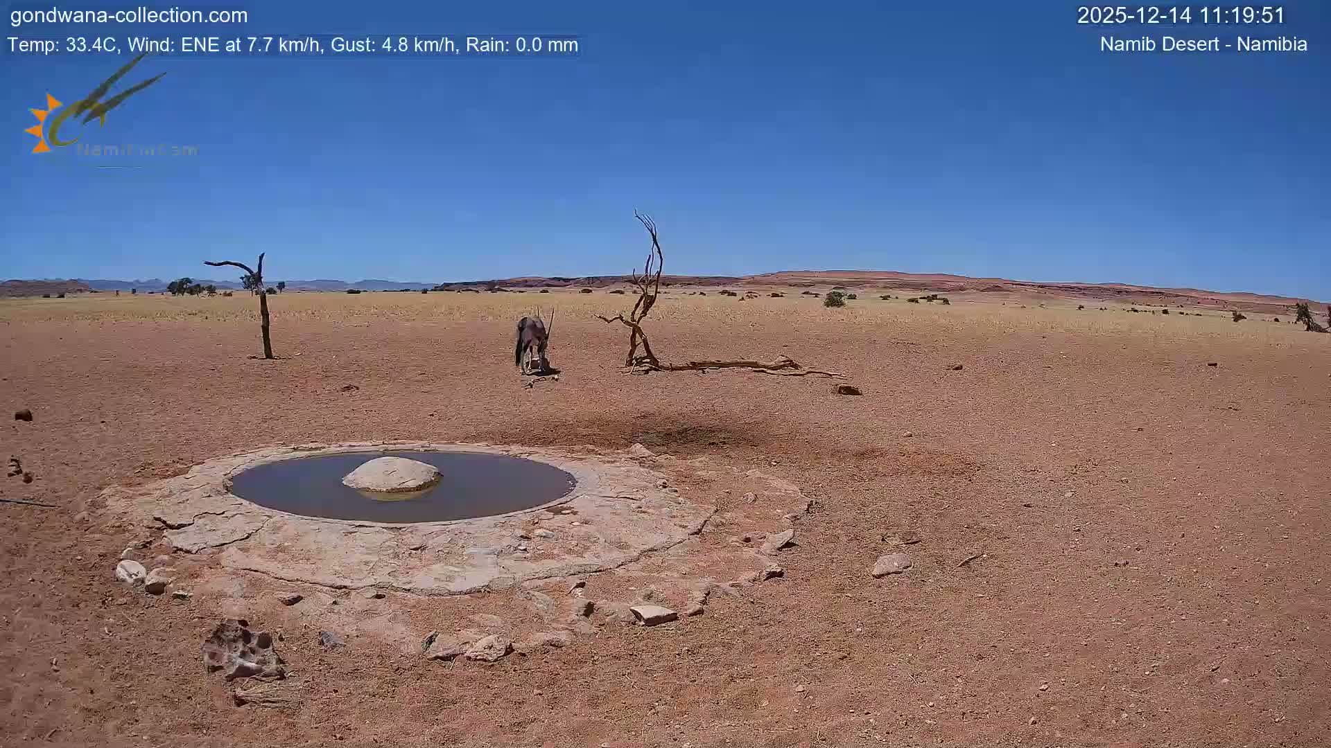 A circular waterhole with a rock in its center sits in a vast, arid landscape of reddish-brown earth and sparse, dry vegetation, featuring several gnarled dead trees under a clear, sunny blue sky.