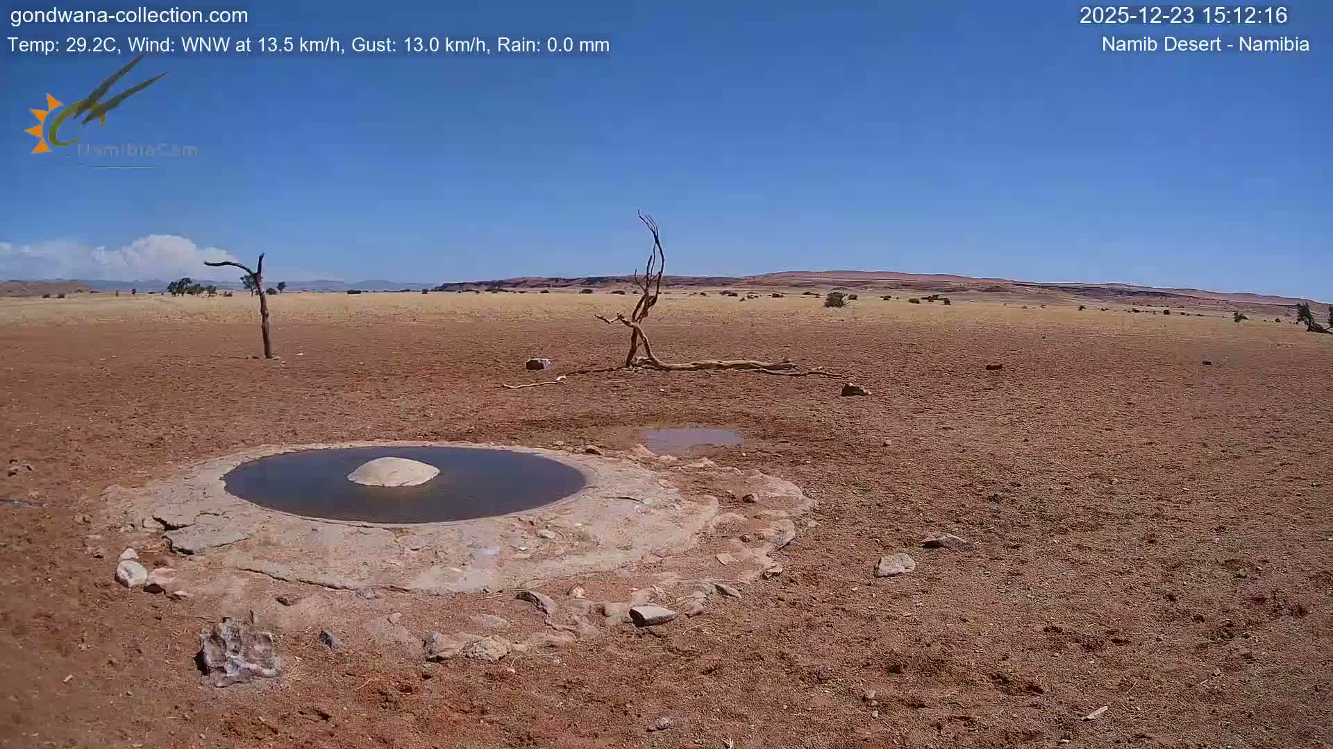 Wild Life in Namib Desert Naukluft National Park Live Cam - Maltahohe, Hardap,  Namibia