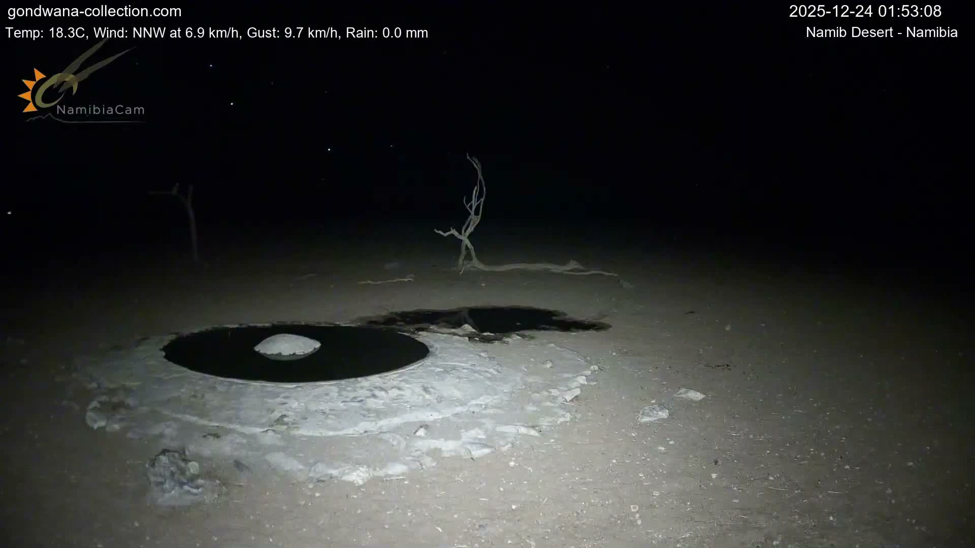 Wild Life in Namib Desert Naukluft National Park Live Cam - Maltahohe, Hardap,  Namibia