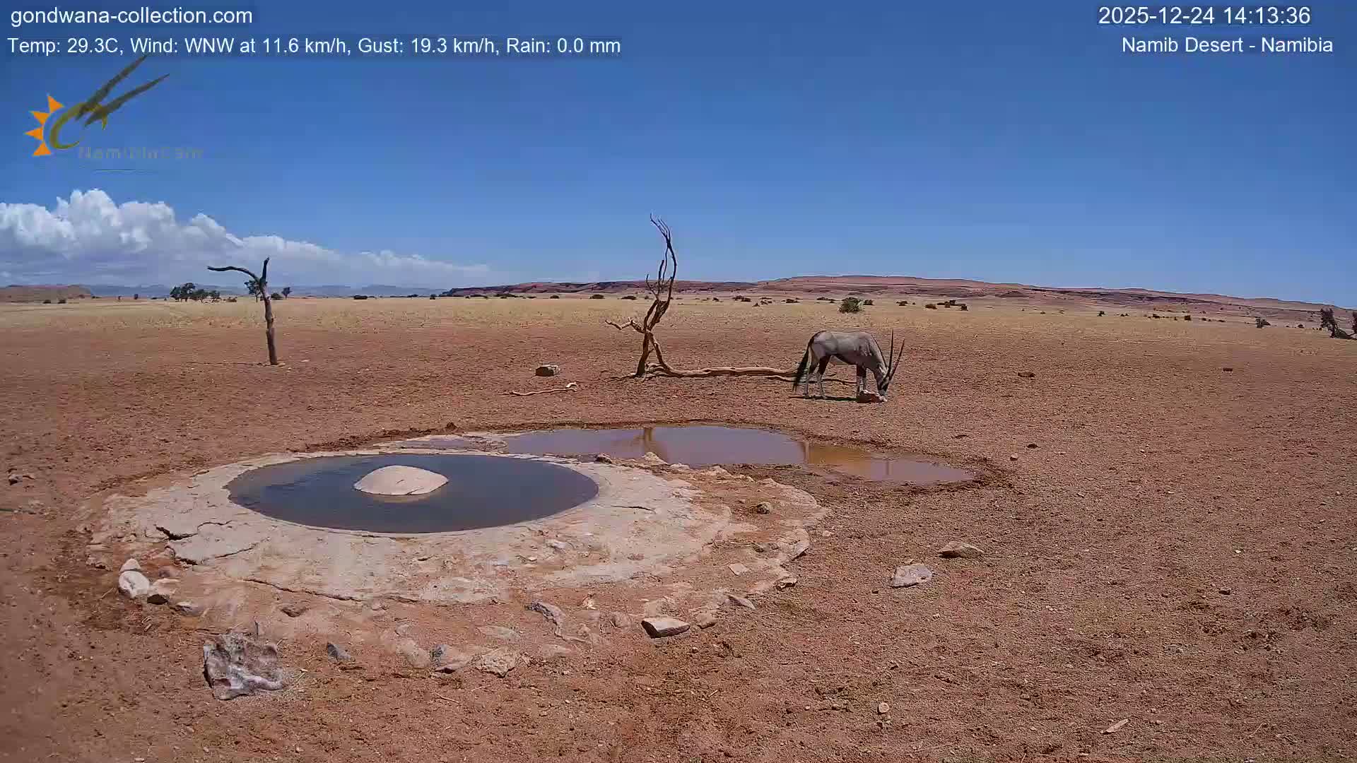 Wild Life in Namib Desert Naukluft National Park Live Cam - Maltahohe, Hardap,  Namibia