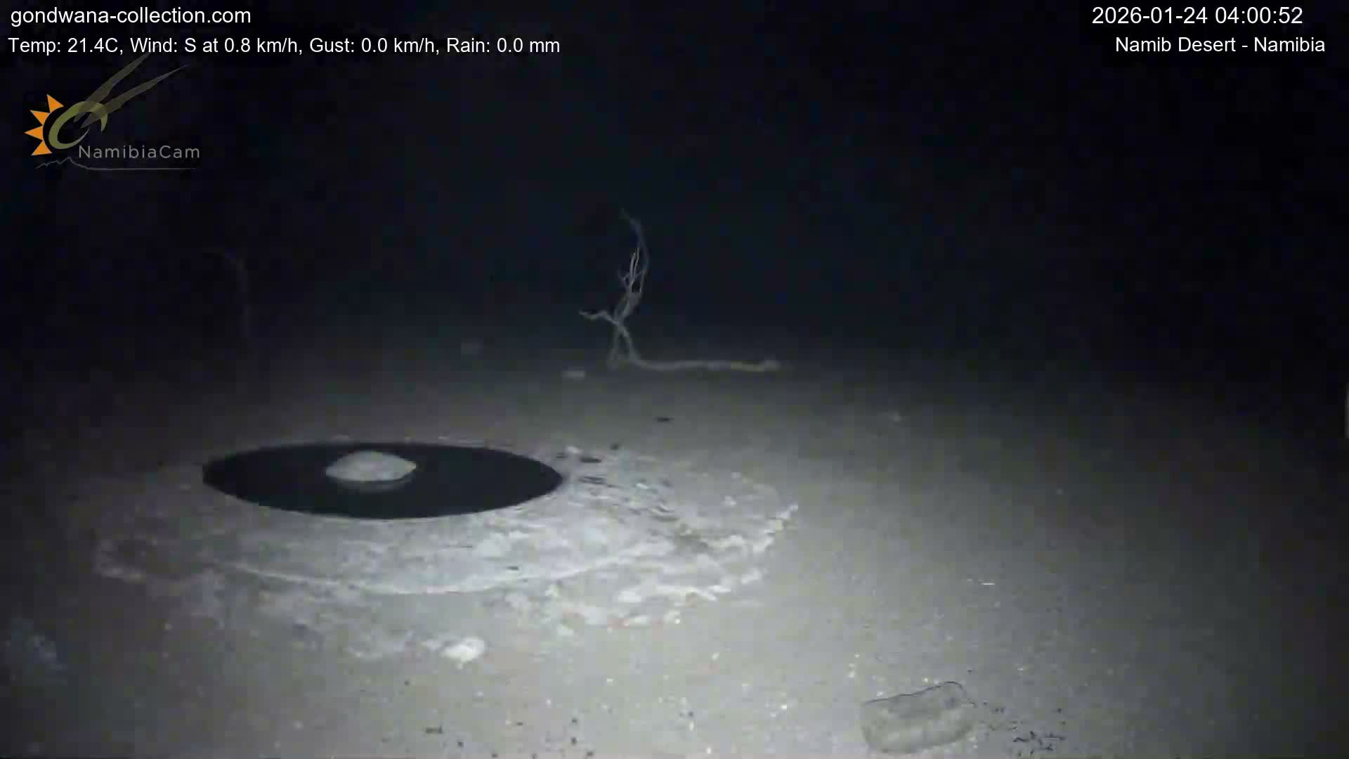 Wild Life in Namib Desert Naukluft National Park Live Cam - Maltahohe, Hardap,  Namibia