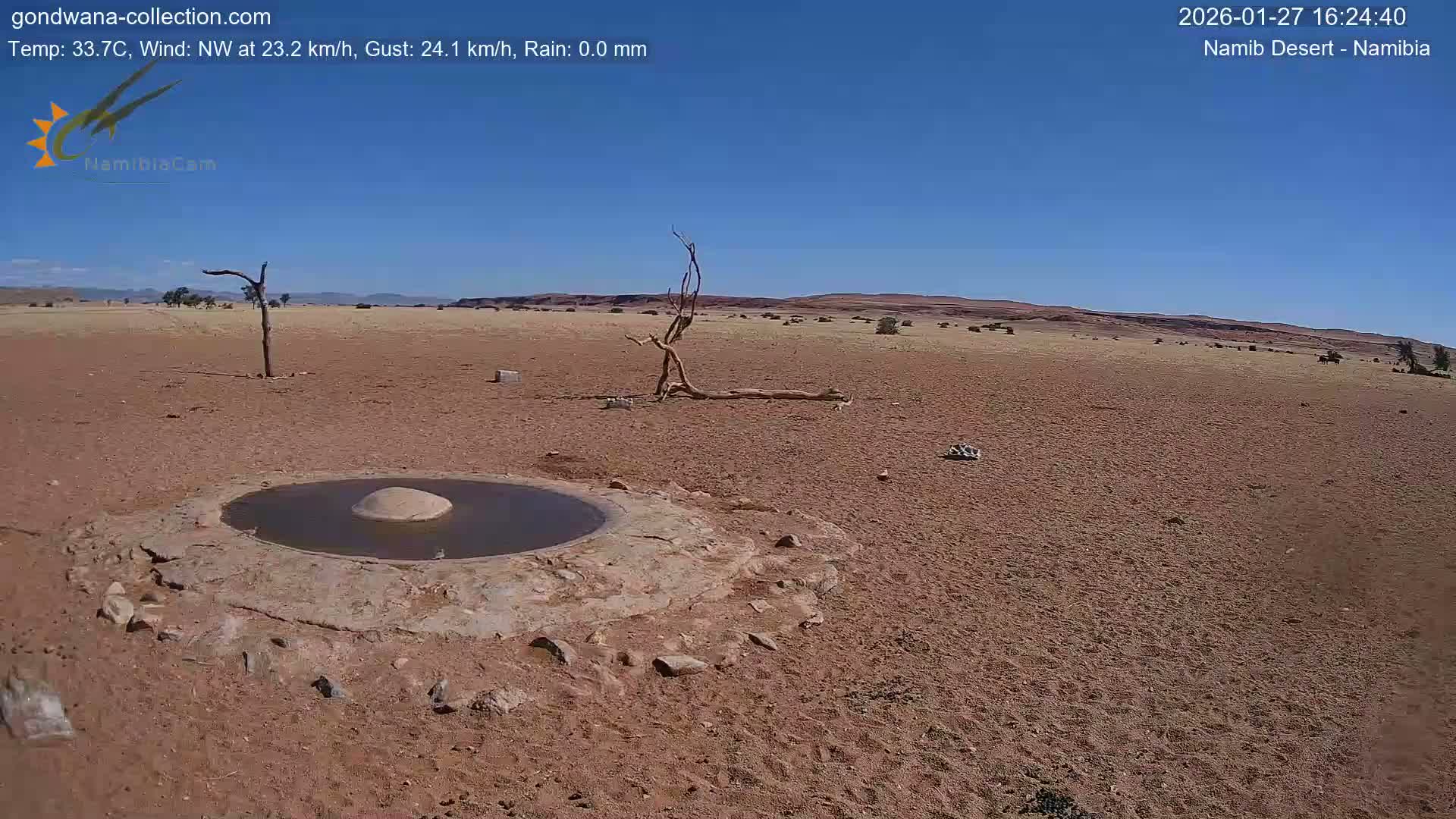Wild Life in Namib Desert Naukluft National Park Live Cam - Maltahohe, Hardap,  Namibia