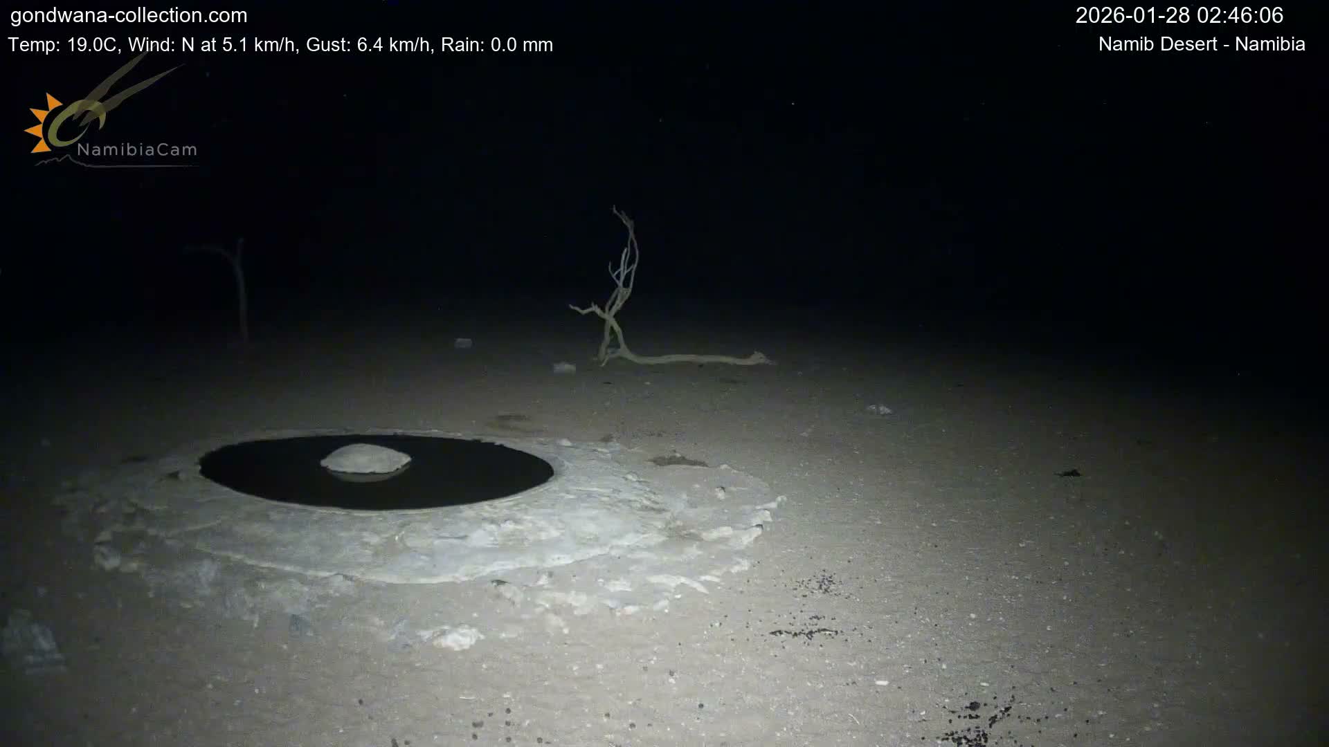 Wild Life in Namib Desert Naukluft National Park Live Cam - Maltahohe, Hardap,  Namibia