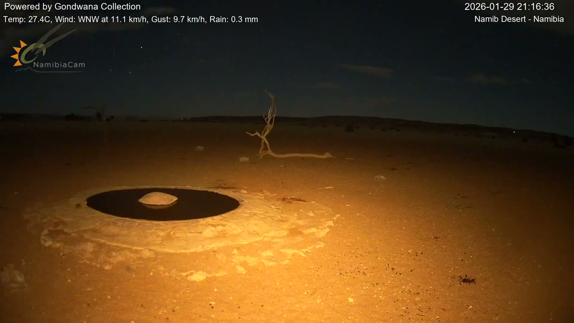 Wild Life in Namib Desert Naukluft National Park Live Cam - Maltahohe, Hardap,  Namibia