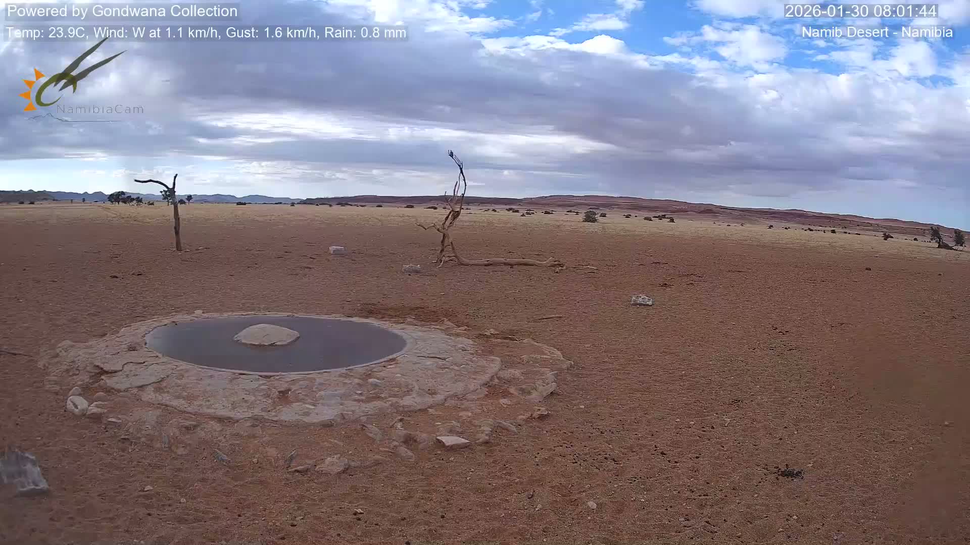 Wild Life in Namib Desert Naukluft National Park Live Cam - Maltahohe, Hardap,  Namibia
