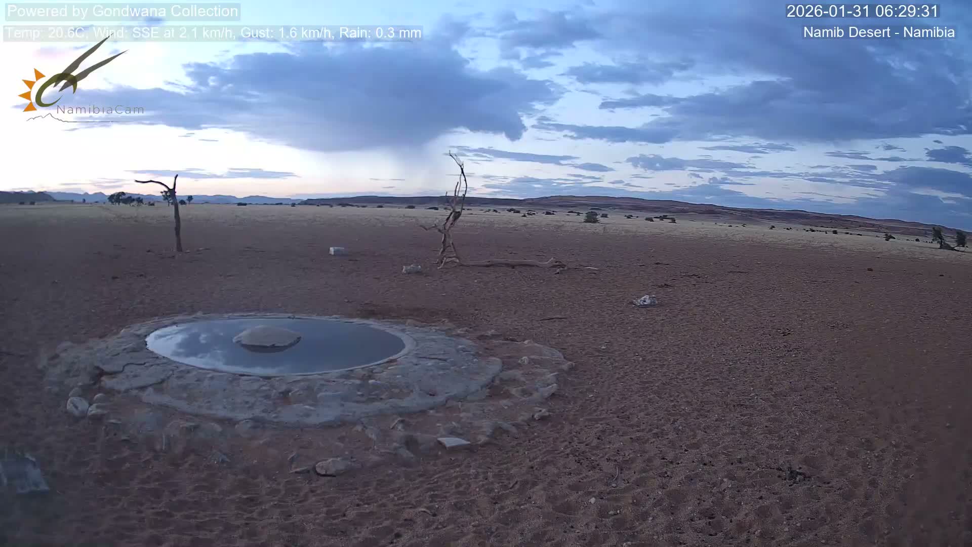 Wild Life in Namib Desert Naukluft National Park Live Cam - Maltahohe, Hardap,  Namibia