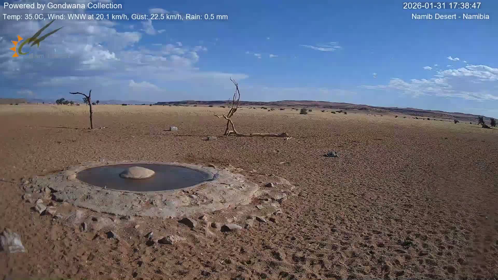 Wild Life in Namib Desert Naukluft National Park Live Cam - Maltahohe, Hardap,  Namibia