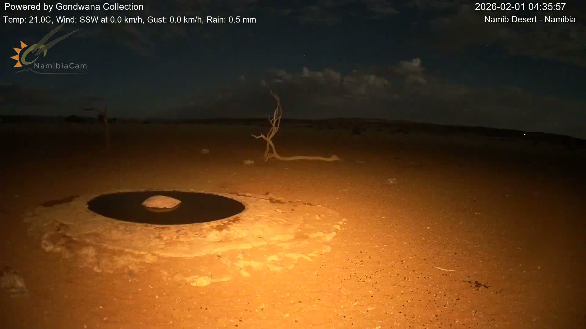 Wild Life in Namib Desert Naukluft National Park Live Cam - Maltahohe, Hardap,  Namibia