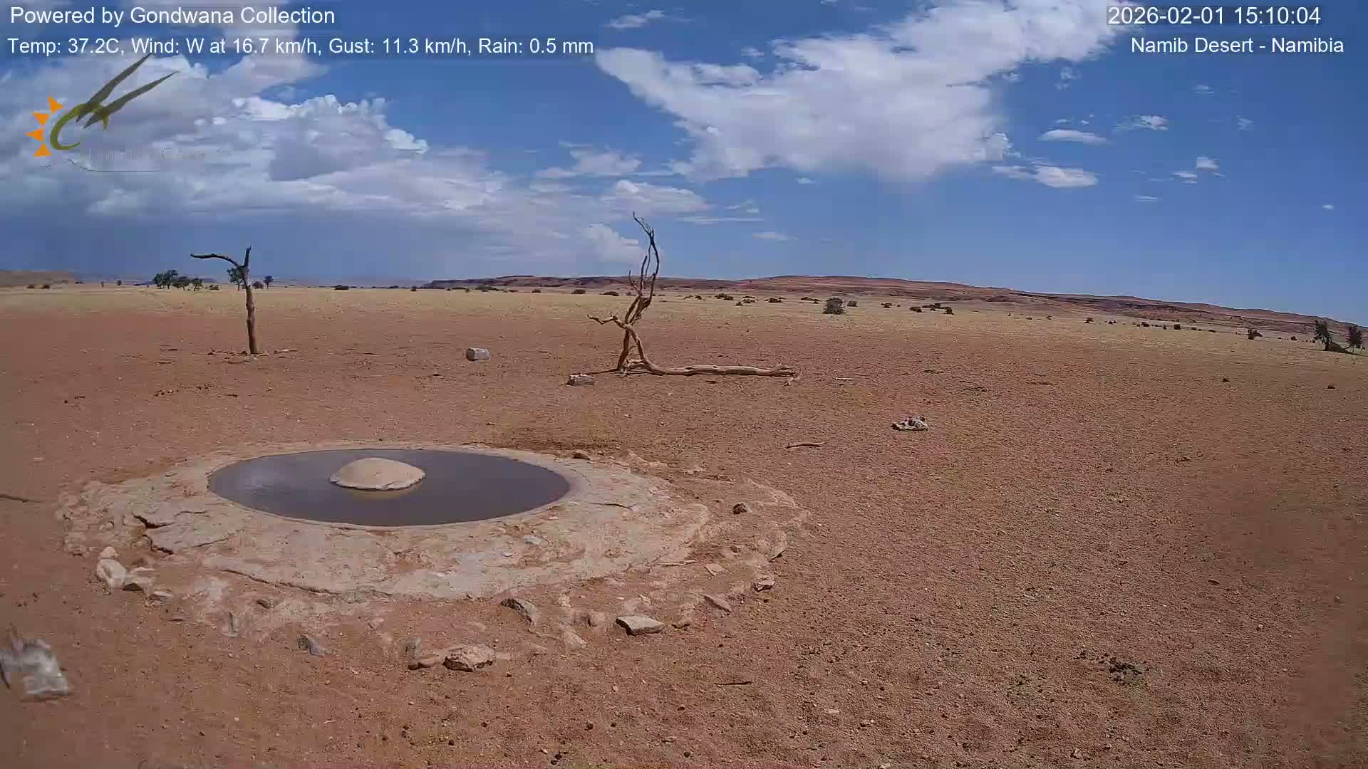 Wild Life in Namib Desert Naukluft National Park Live Cam - Maltahohe, Hardap,  Namibia