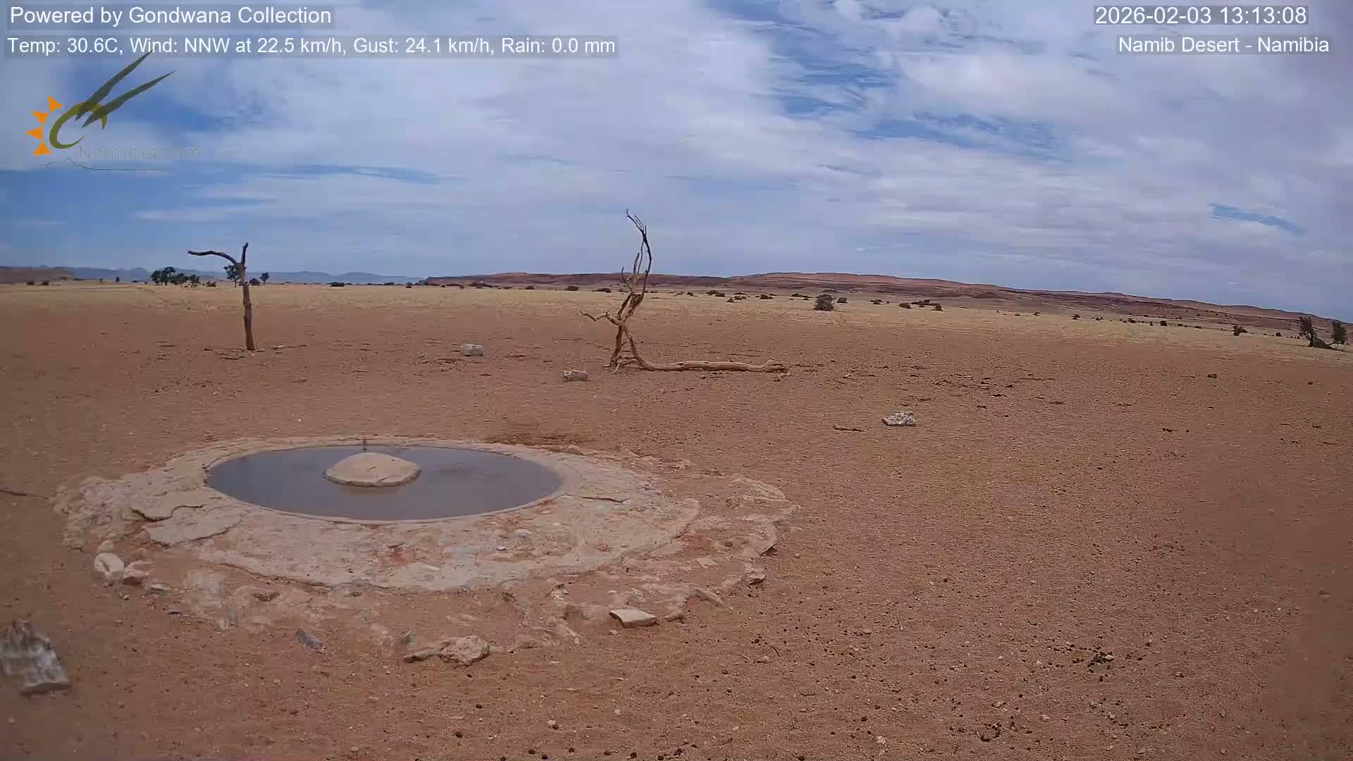 Wild Life in Namib Desert Naukluft National Park Live Cam - Maltahohe, Hardap,  Namibia