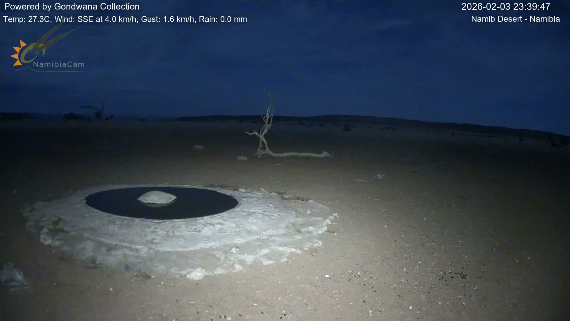 Wild Life in Namib Desert Naukluft National Park Live Cam - Maltahohe, Hardap,  Namibia