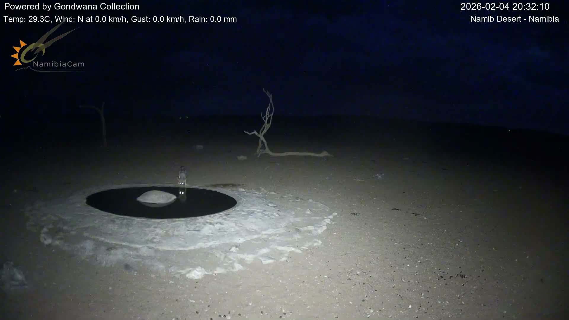 Wild Life in Namib Desert Naukluft National Park Live Cam - Maltahohe, Hardap,  Namibia
