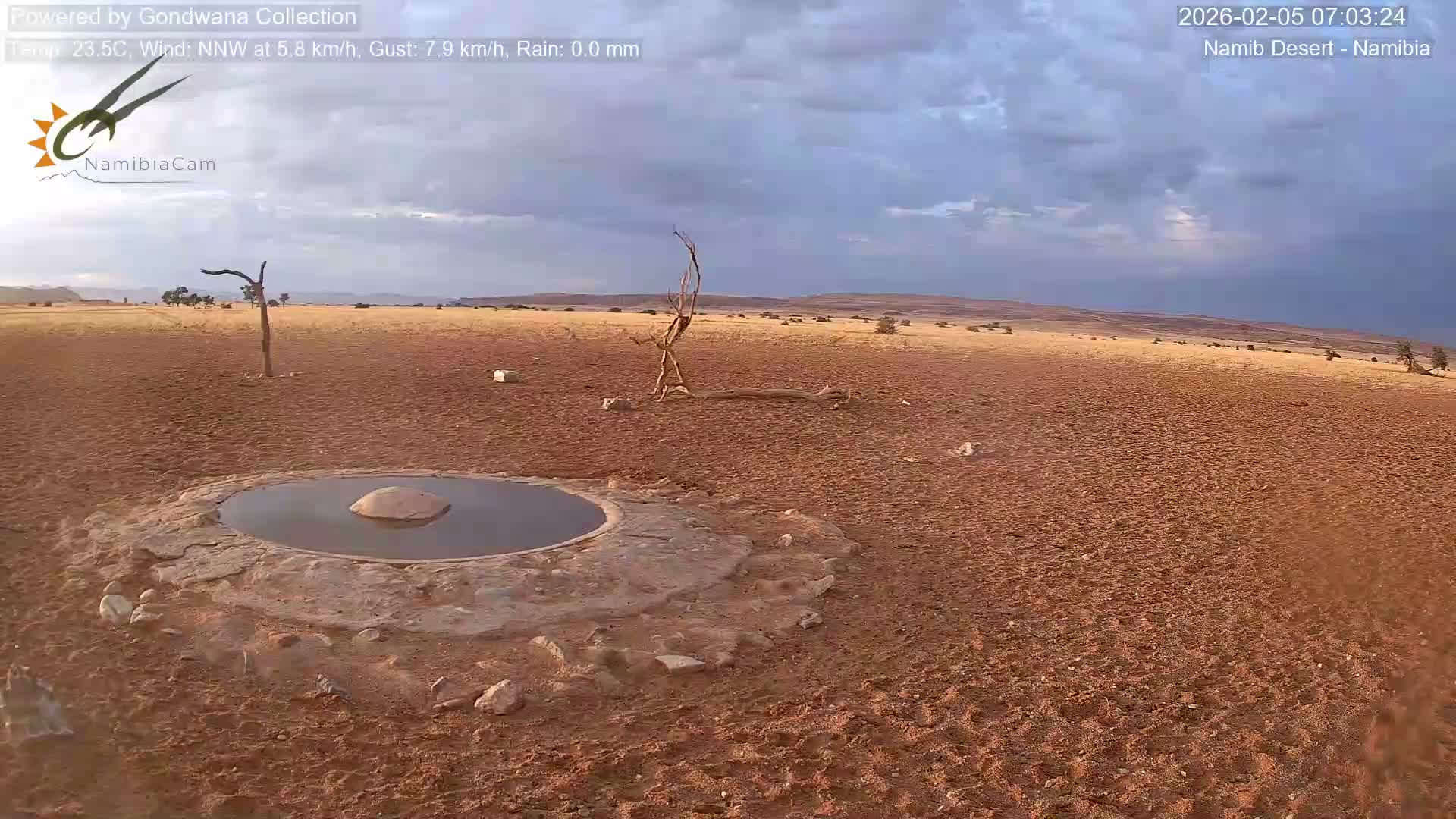 Wild Life in Namib Desert Naukluft National Park Live Cam - Maltahohe, Hardap,  Namibia