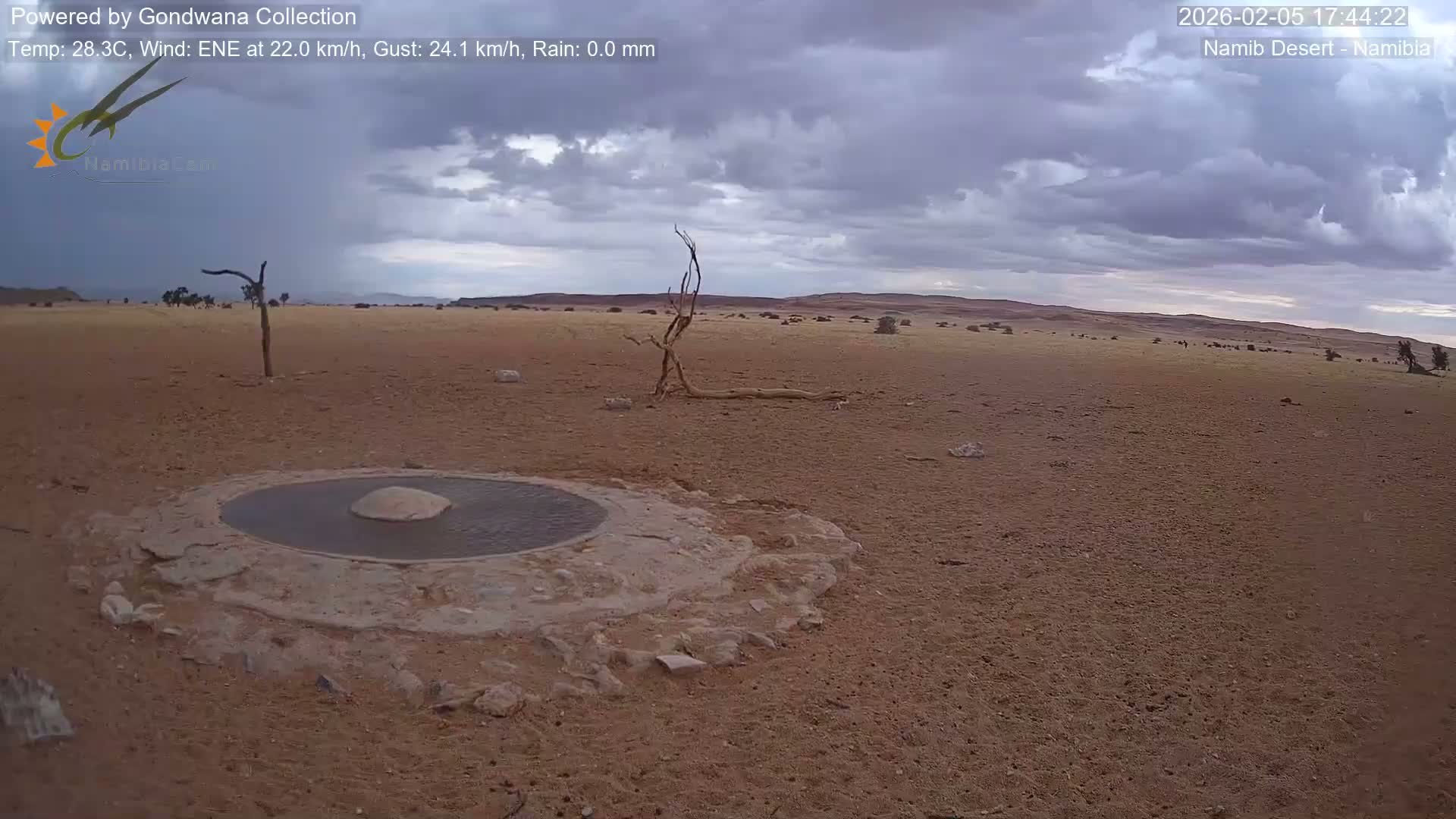 Wild Life in Namib Desert Naukluft National Park Live Cam - Maltahohe, Hardap,  Namibia
